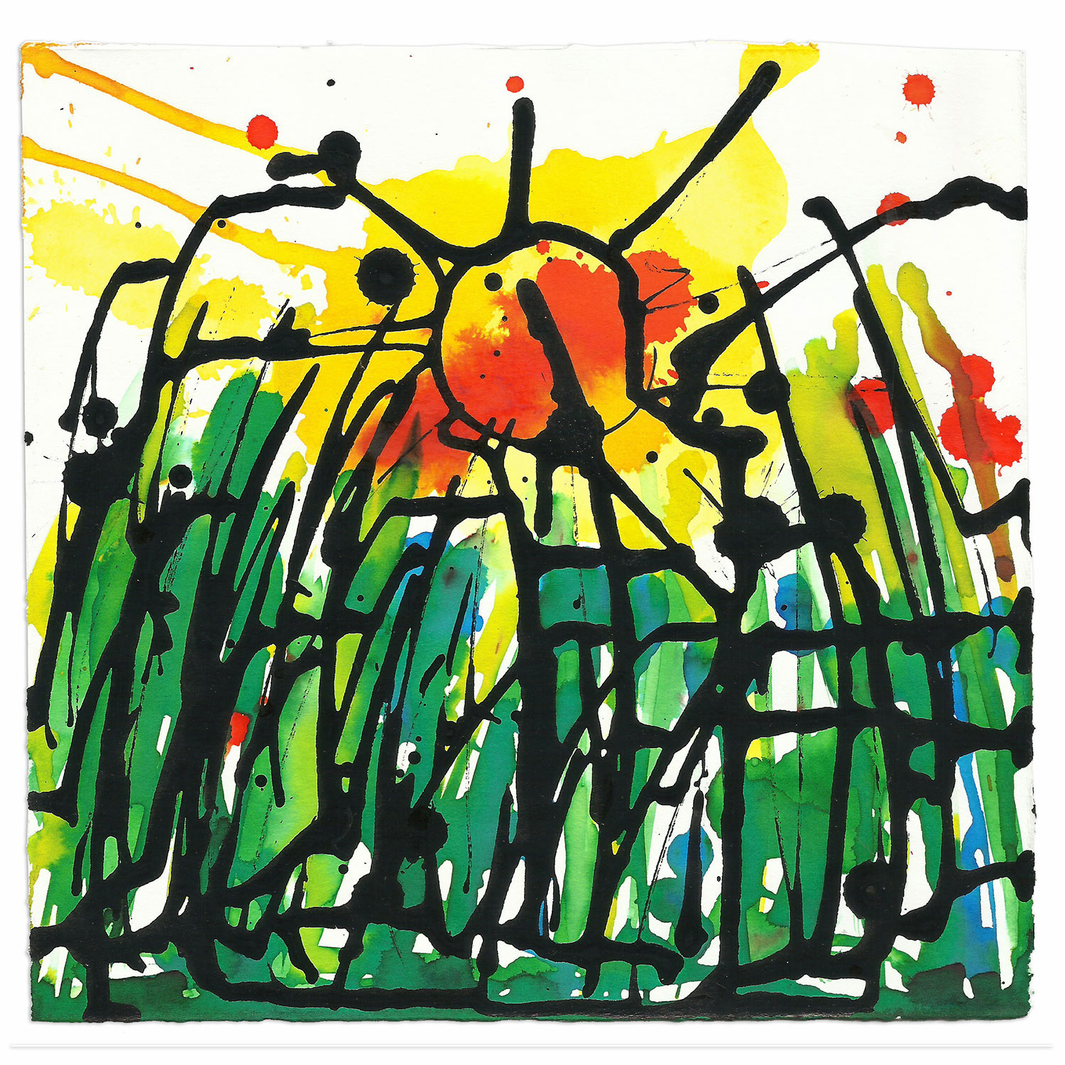 Sol y Hierba. (19 x 19) 2015.