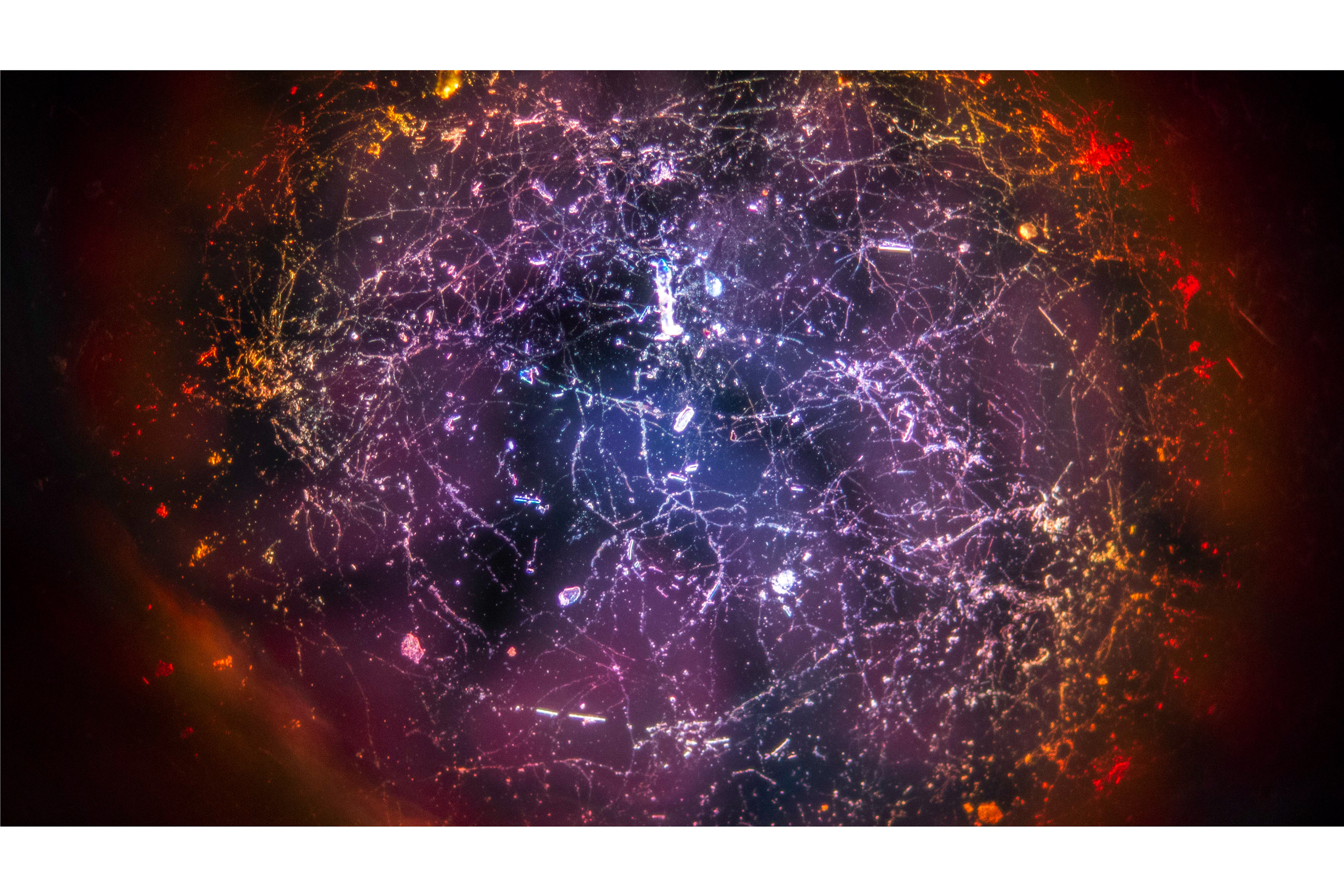 Never-Mind the Bollocks, 2018 - Dust Galaxy © Katie Riesner