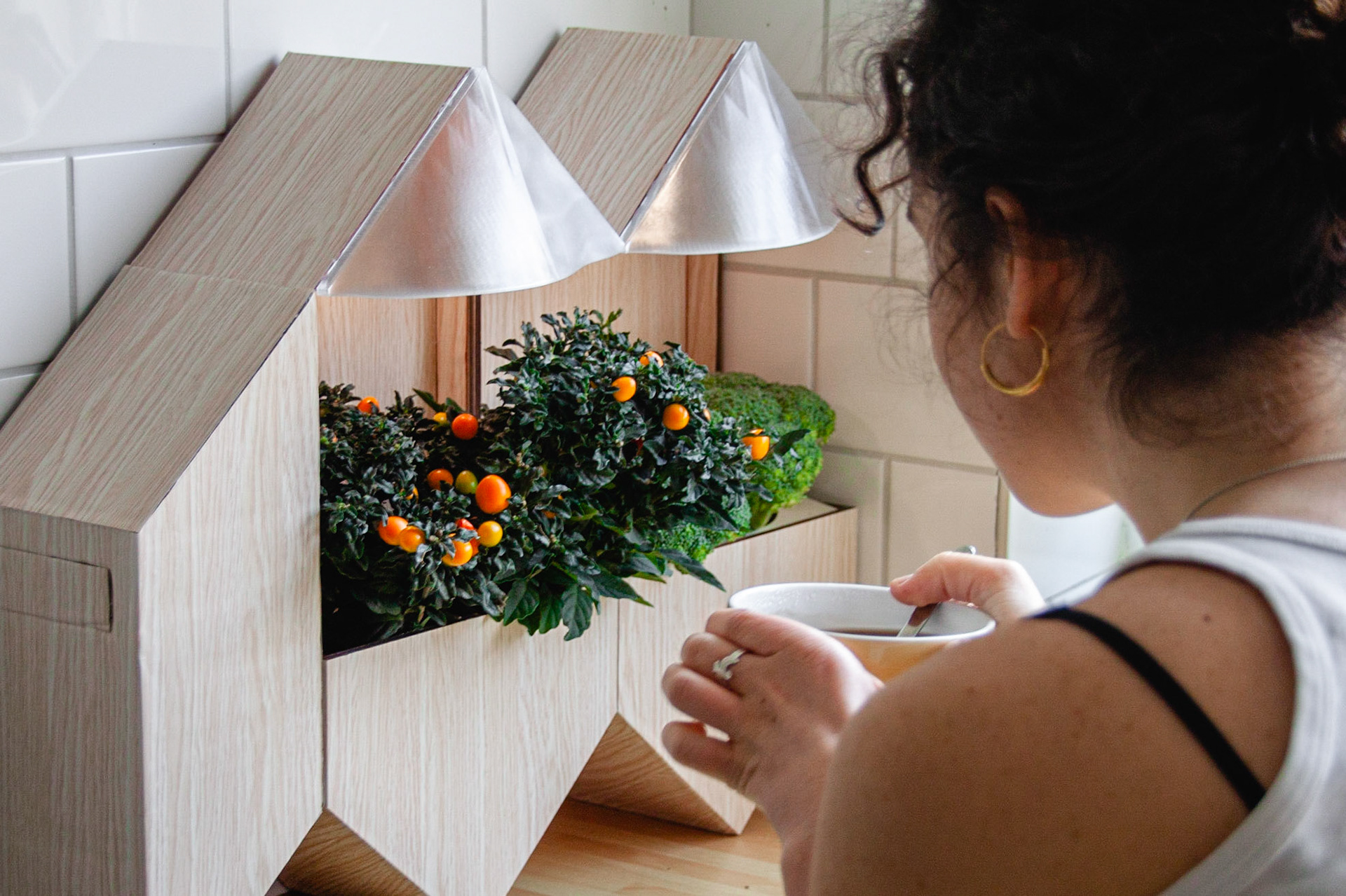 There are many health benefits to living with plants
