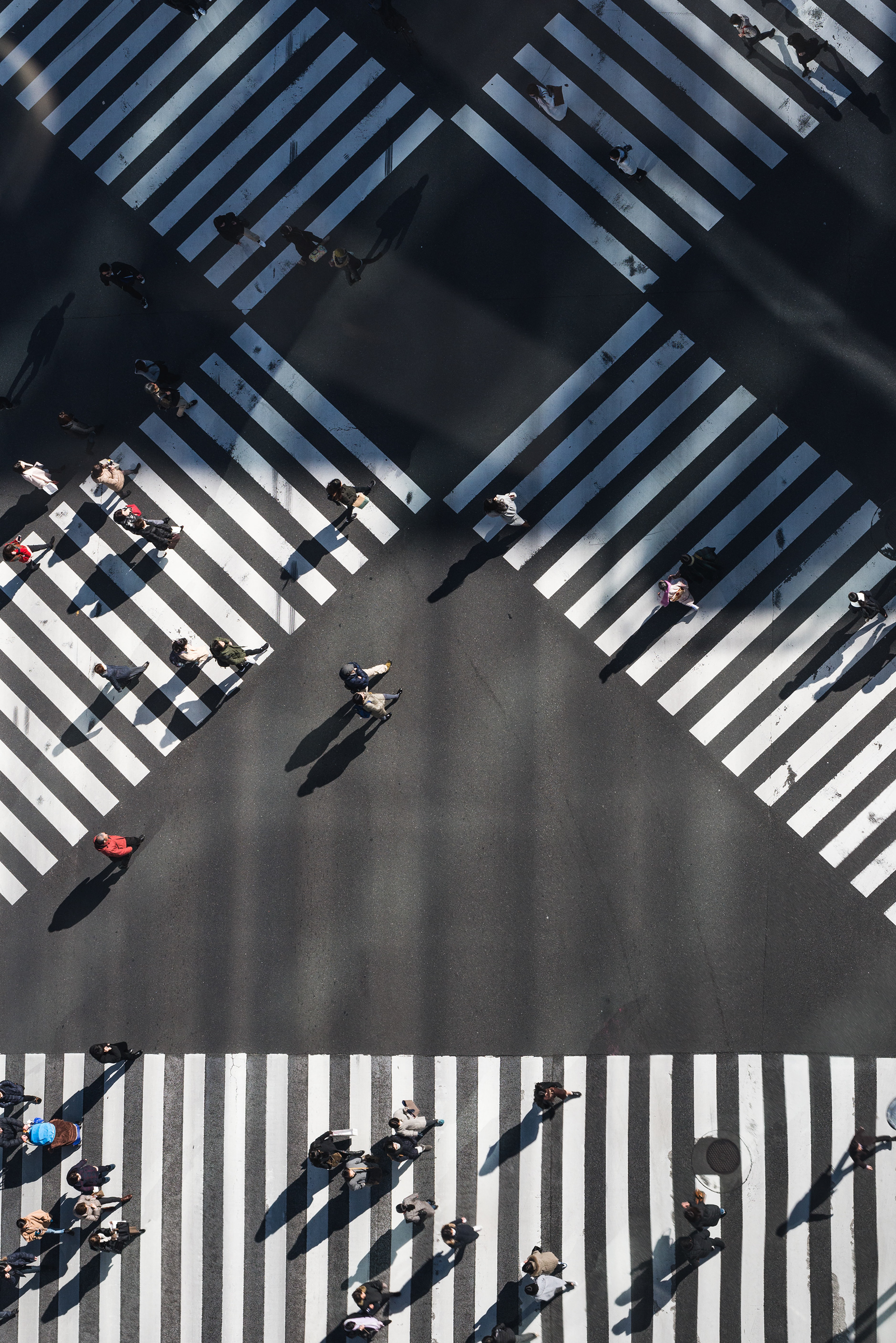 Photo by Ryoji Iwata on Unsplash