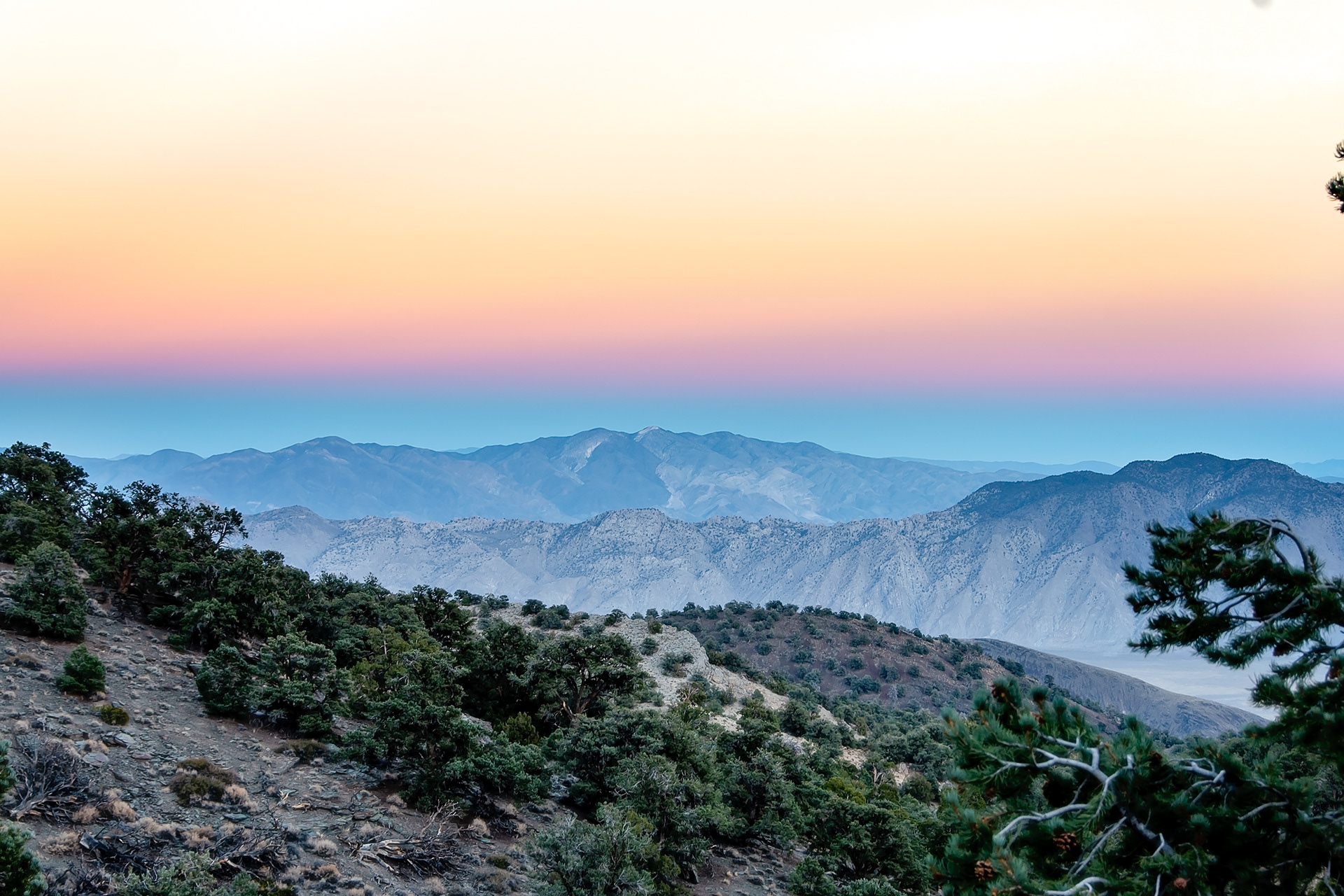 Inyo National Forest