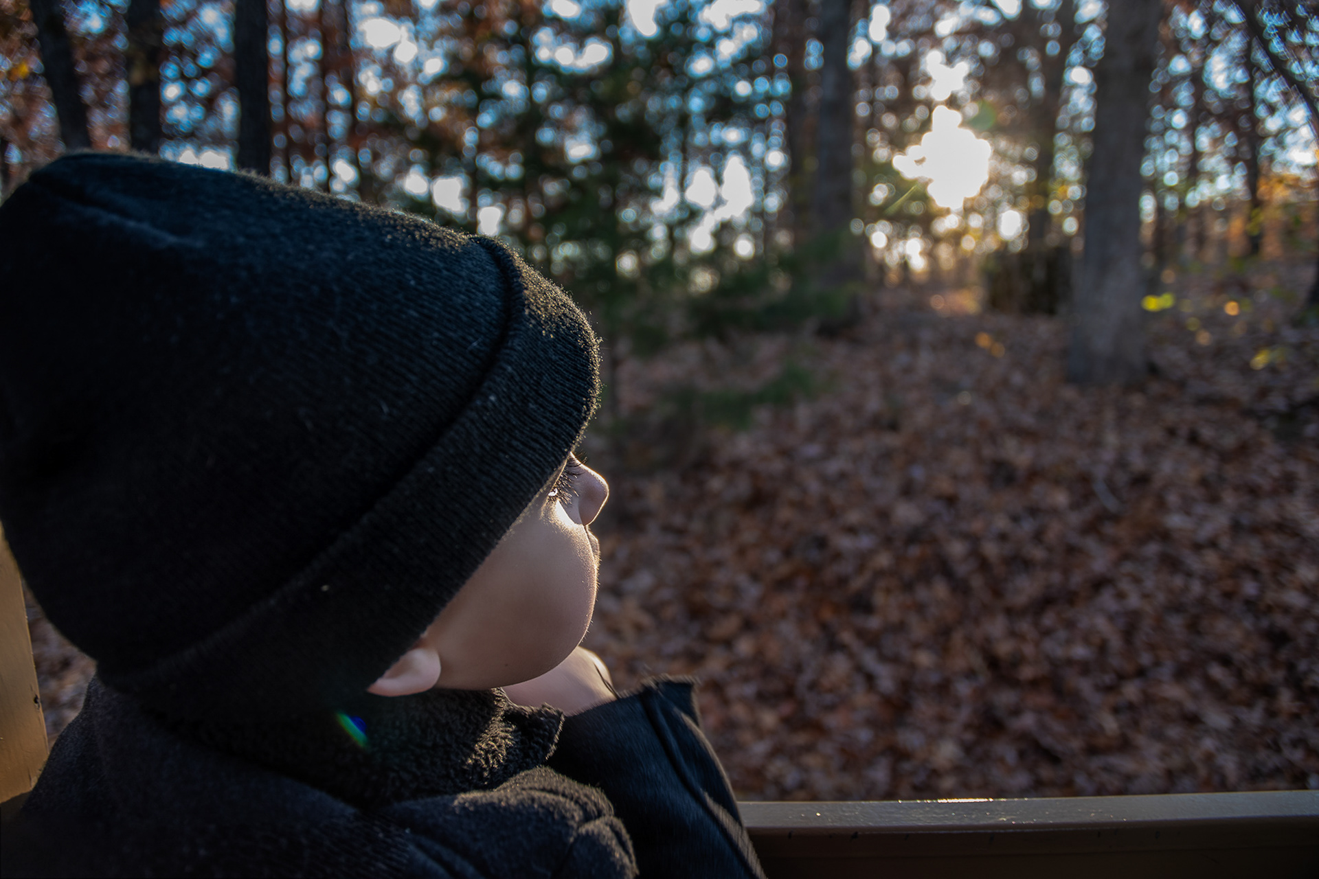 Dawson riding the Silver Dollar City train