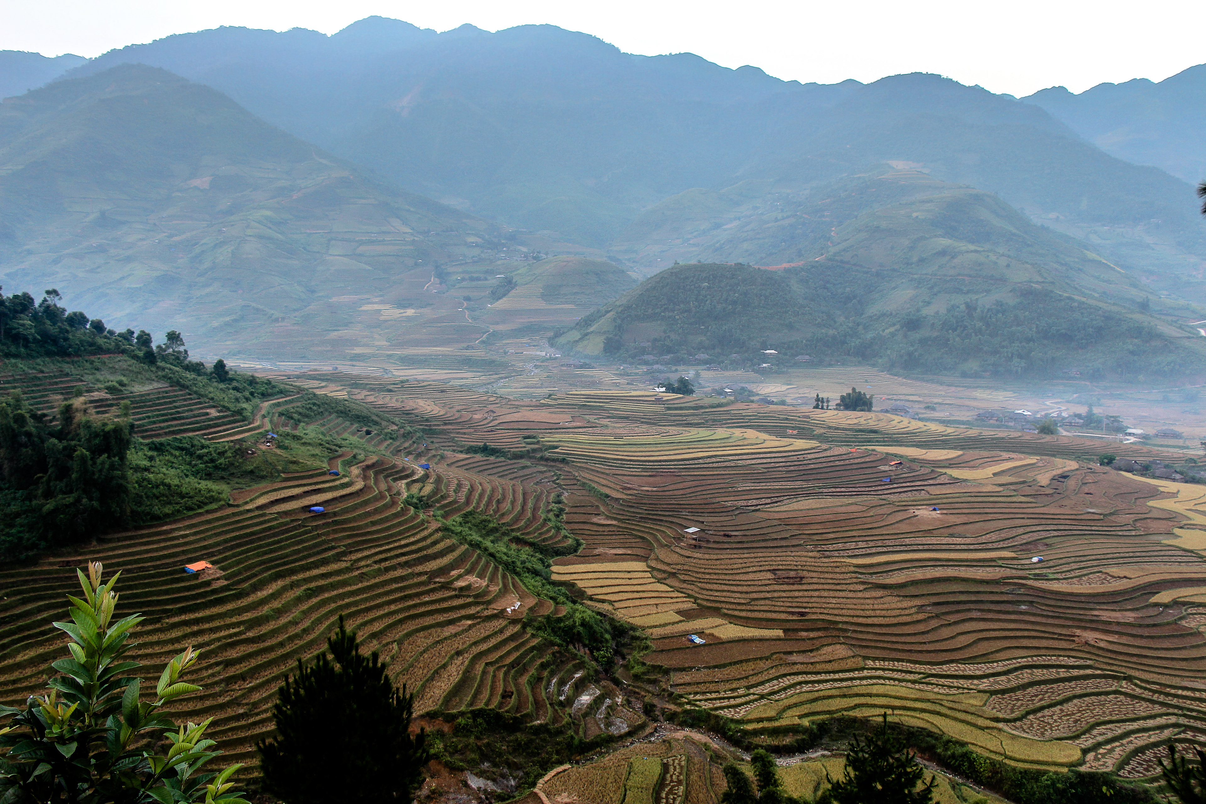 Mu Cang Chai, Vietnam
