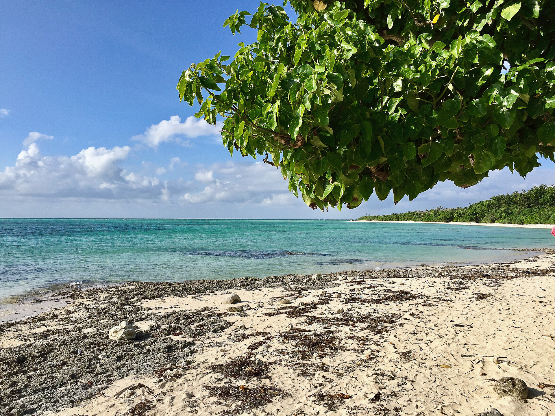 Ishigaki, Okinawa