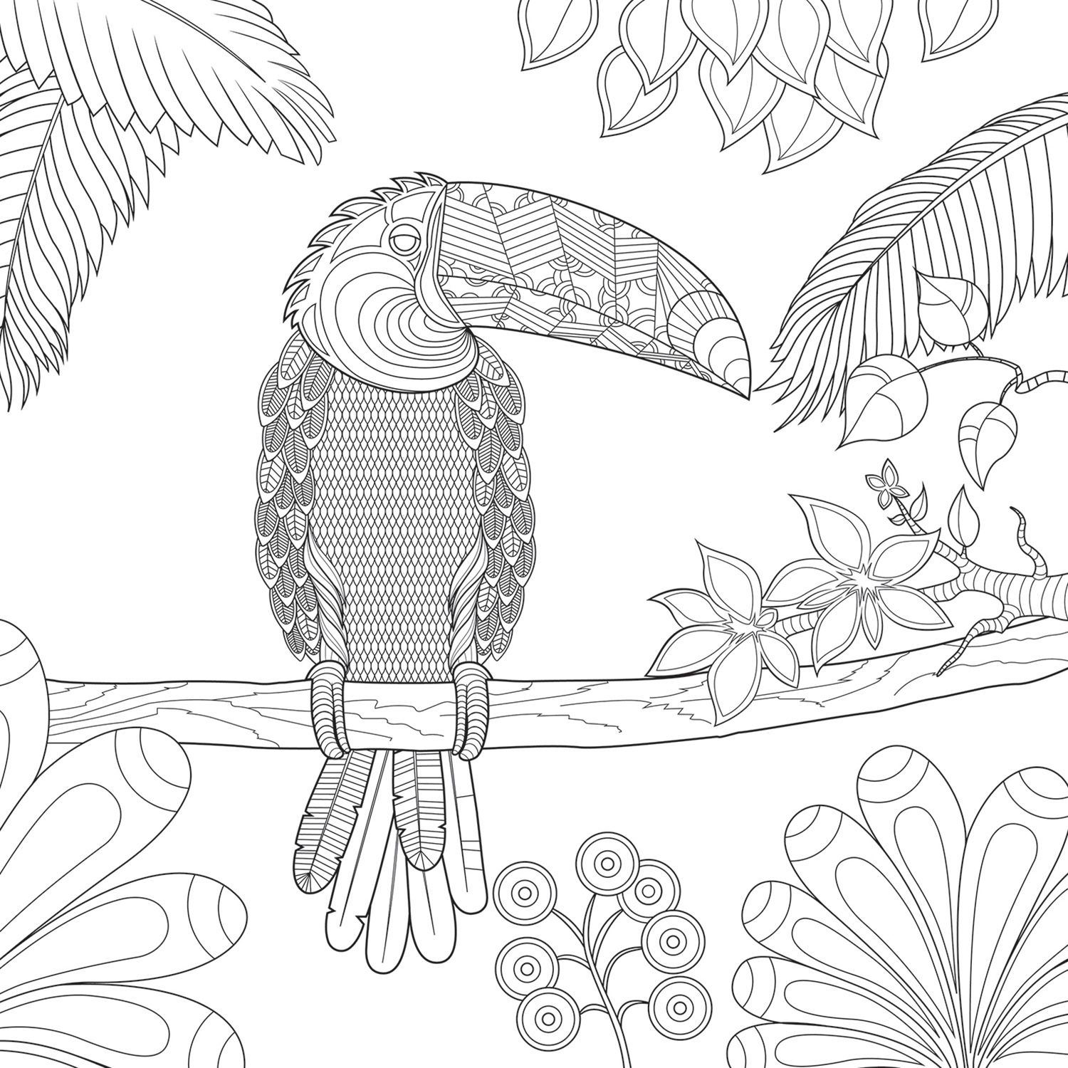 Illustration · Animation · Design - Colouring Pages - Jungle