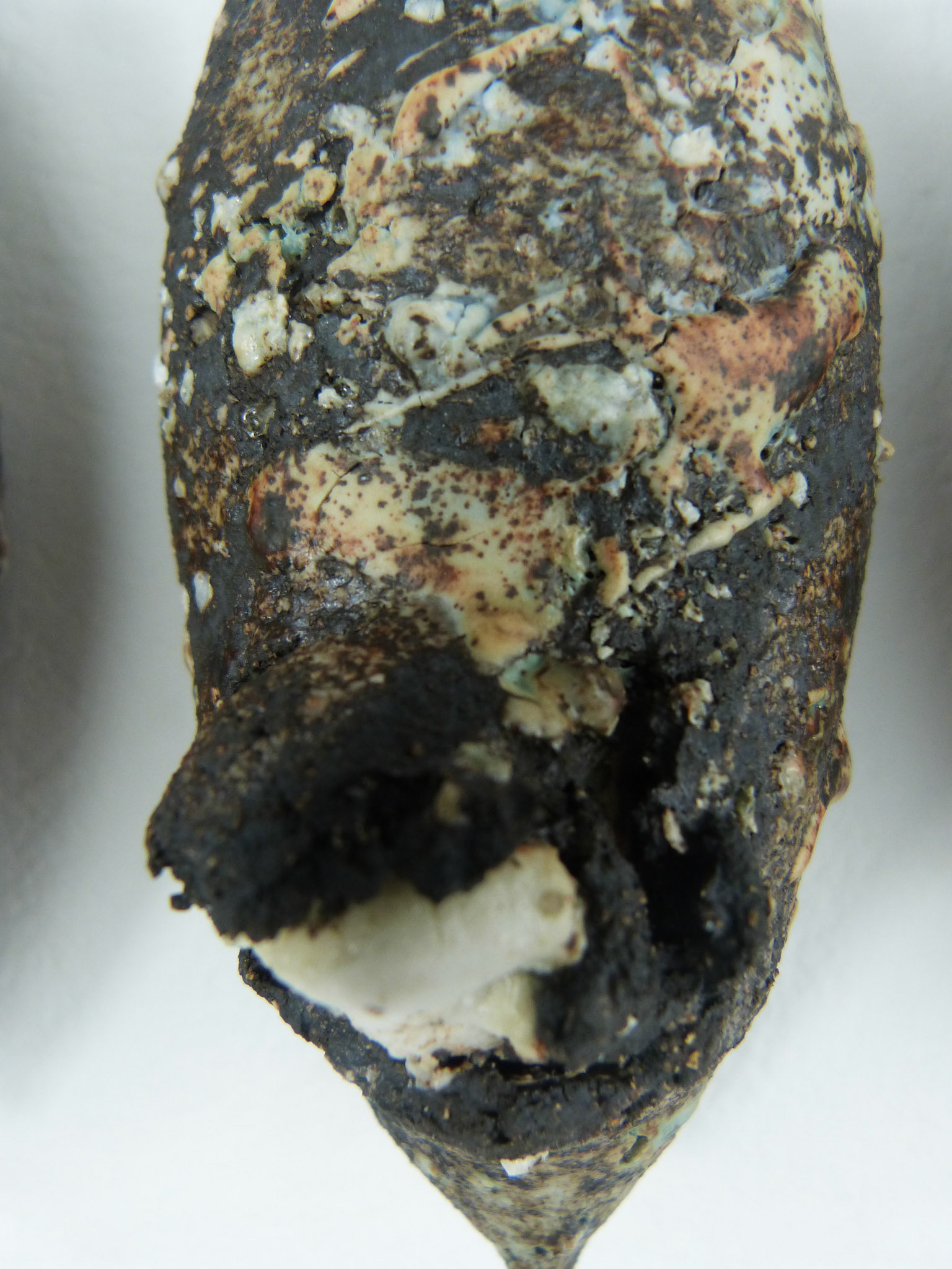 Detail from dark sedimentary specimens