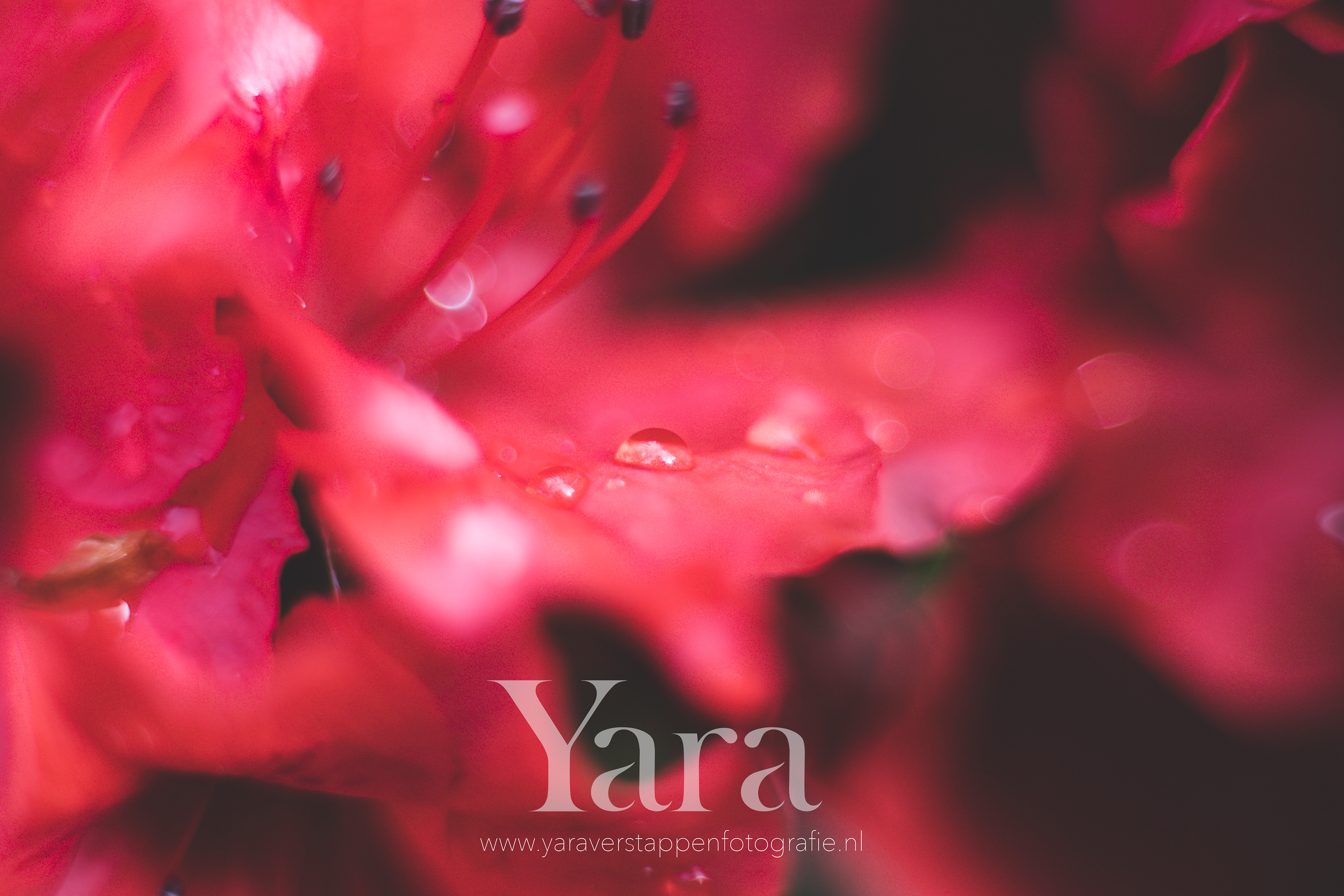 001 - Macro