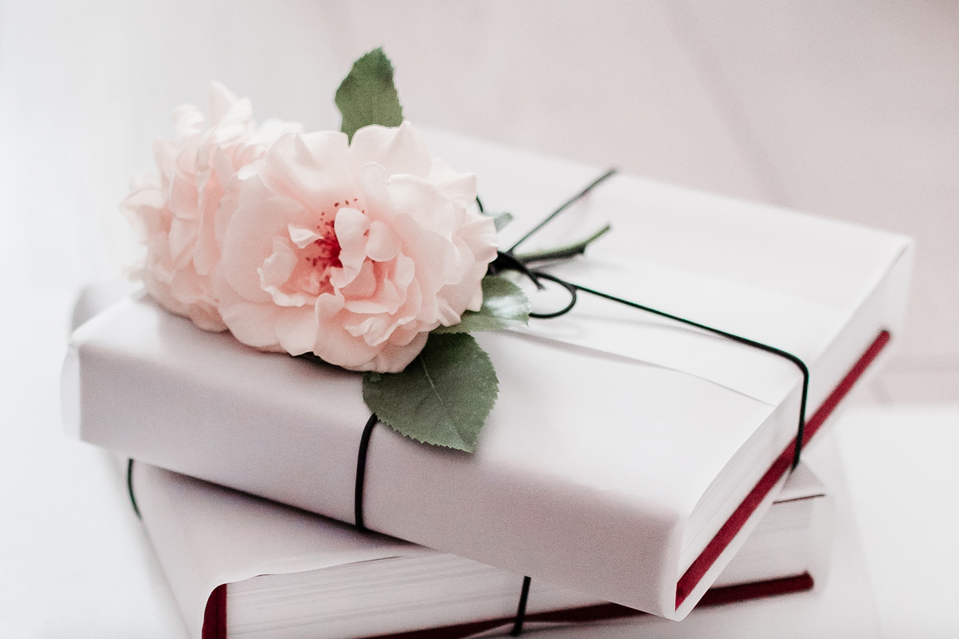 wedding book 20x20 za roditelje foto studio aga