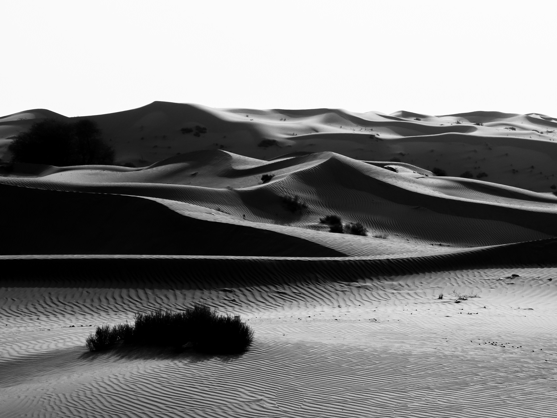 Sharjah, UAE