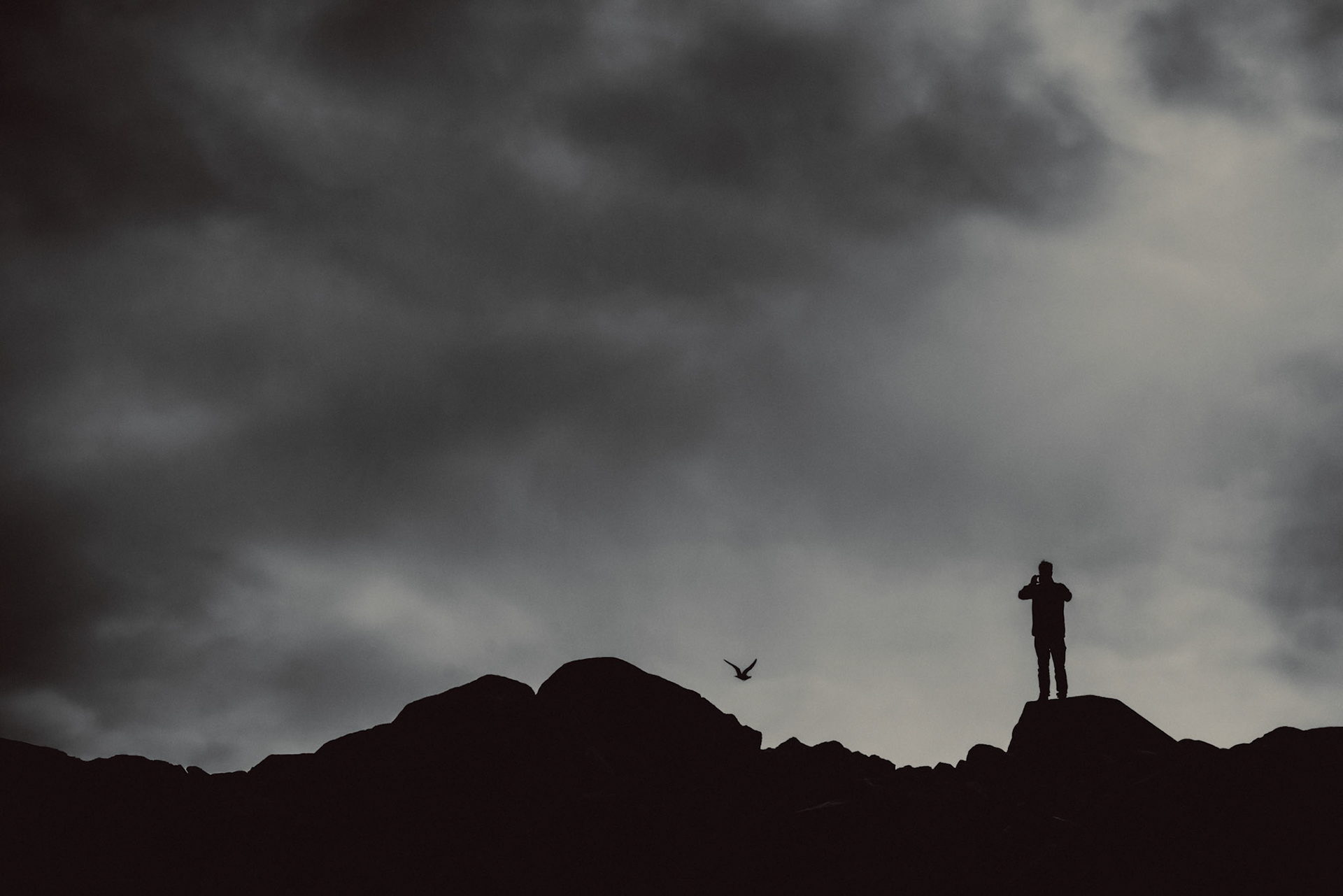 A silhouette of a man and a seagull in flight against a moody sky, Dyrhólaey Viewpoint, Iceland, May 2016, Sony A7RII.
