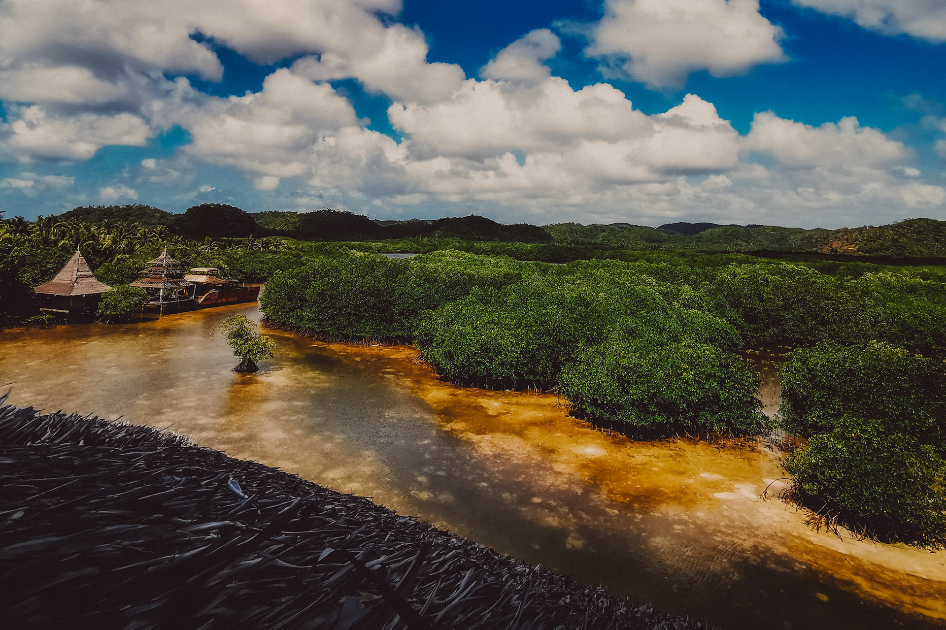A mangrove forest behind Nay Palad Hideaway, Siargao Island, Philippines, February 2020, Huawei P30 Pro.