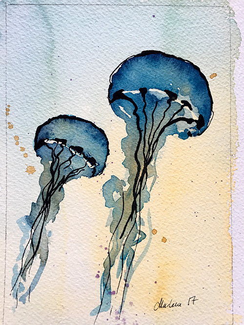 Jellyfish