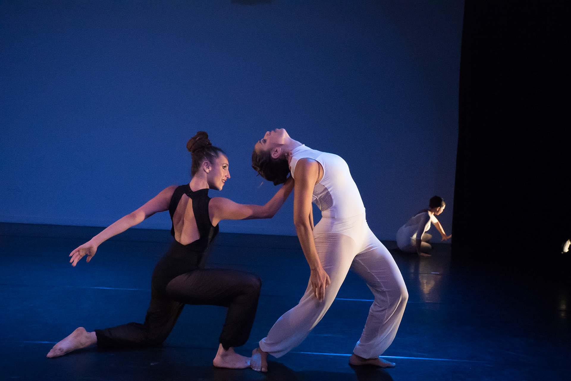 Brooklyn Ballet: First Look 2016