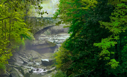 Untitled, Wed Oct 20, 2004,  9:47:18 AM,  8C, 6000x8000,  (0+0), 100%, bent 6 stops,  1/60 s, R58.9, G39.0, B40.1