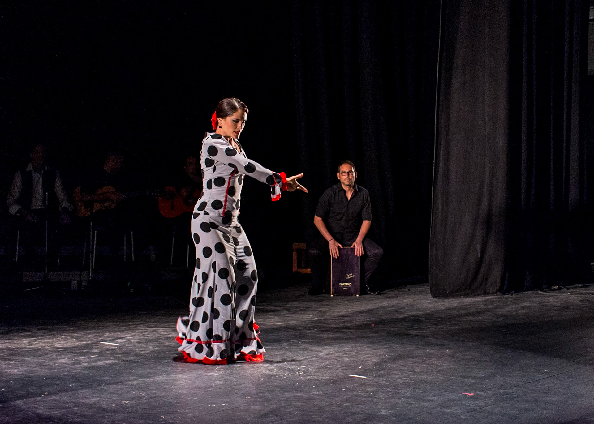 Ecos Flamenco Company (2017)