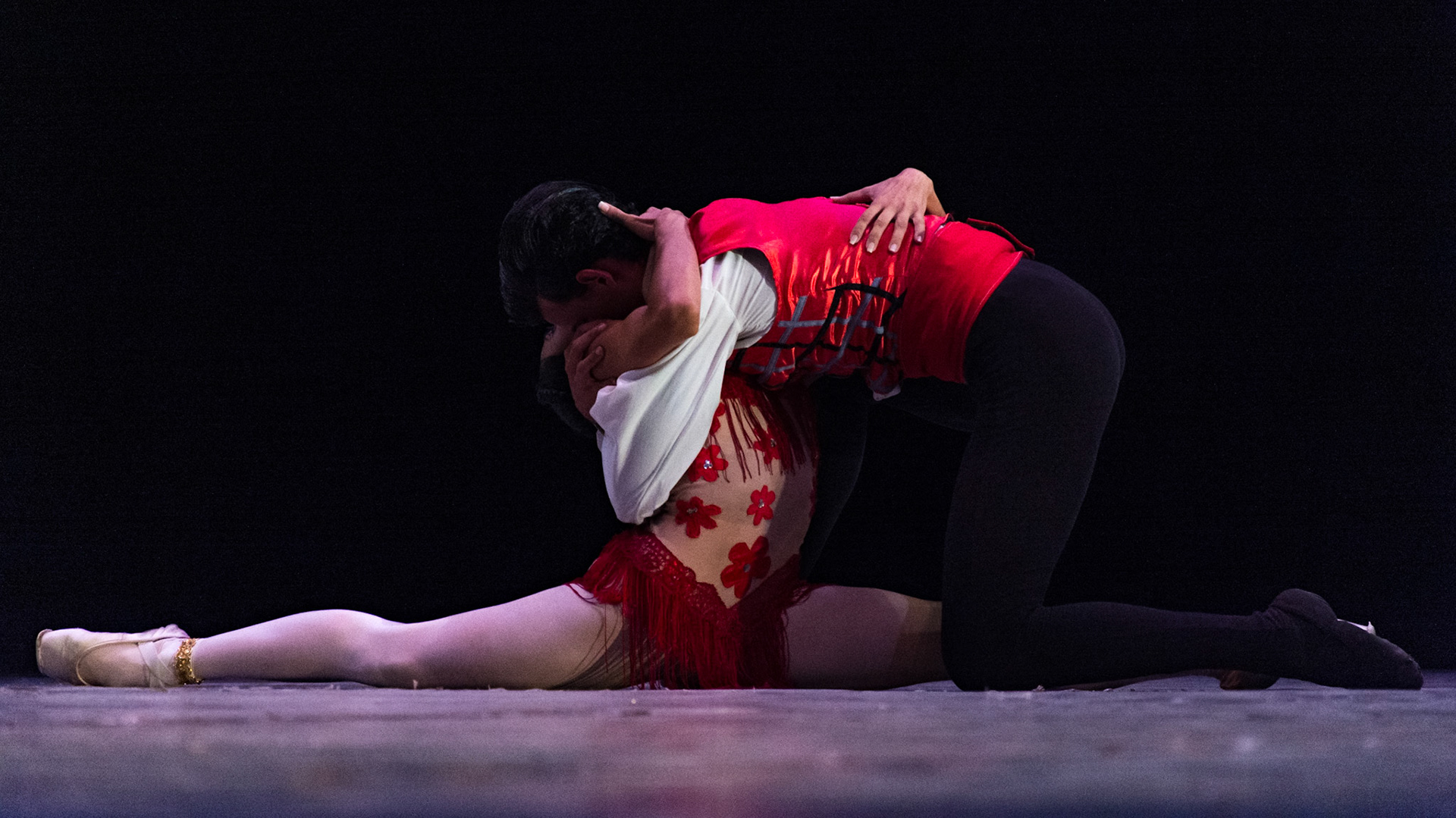 Prodanza Ballet Academy (2017)