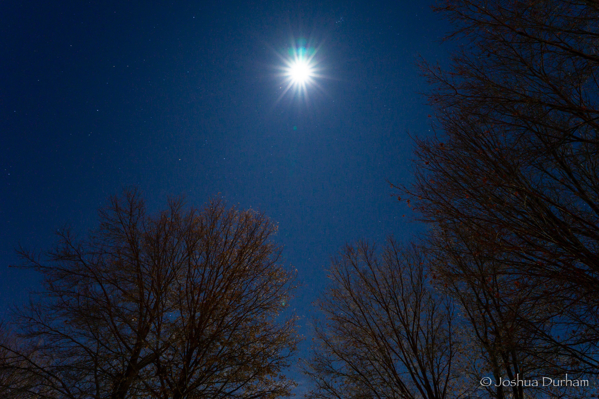 MO - Between the Trees