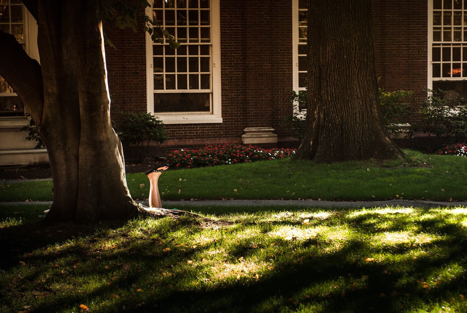 Harvard University, Boston Massachusetts
