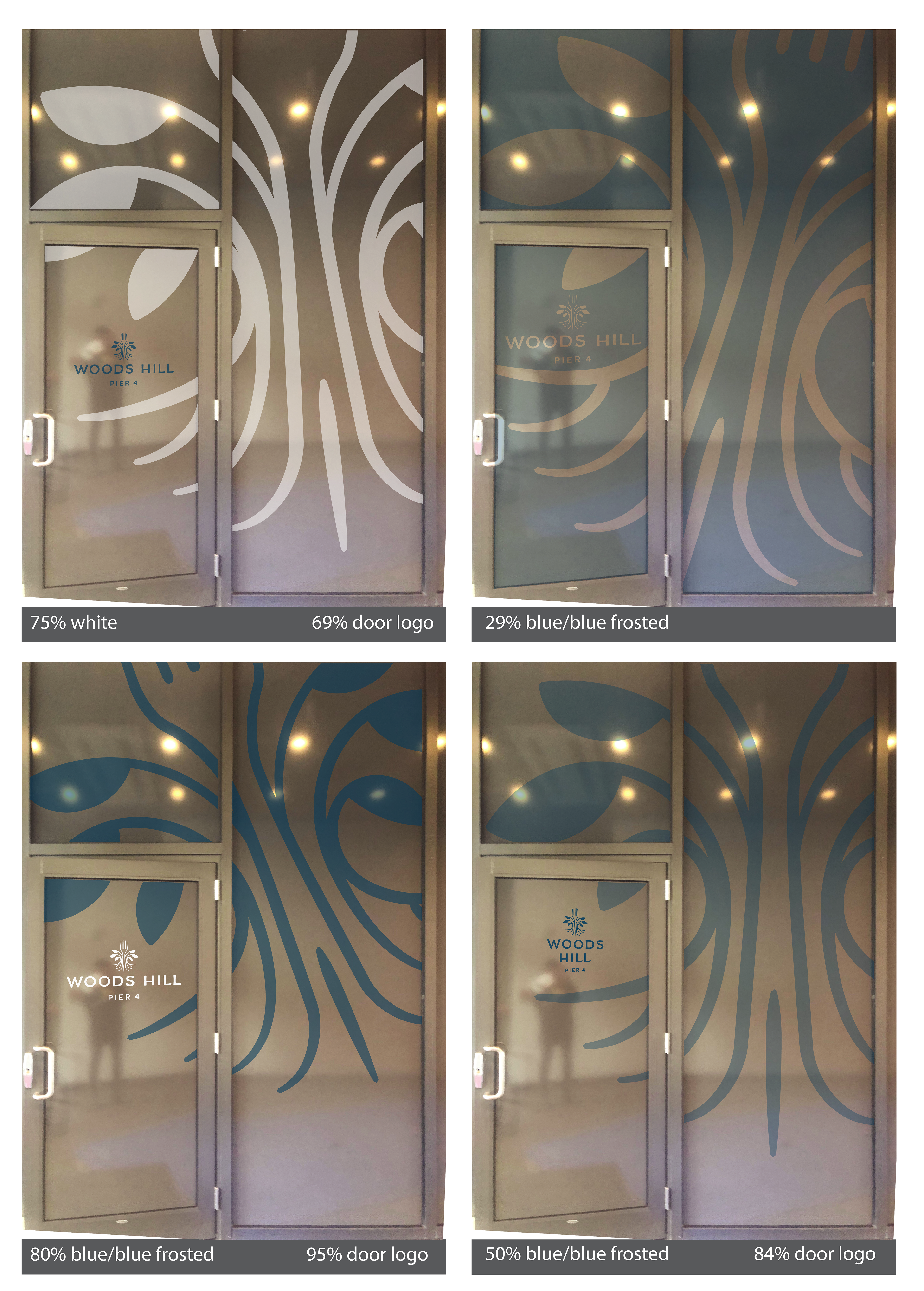 Main entrance glass door and panel design concepts