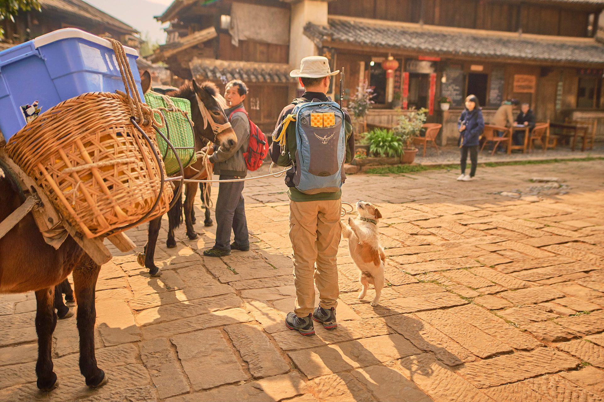 Traveling with mule caravana in Cangshan mountains