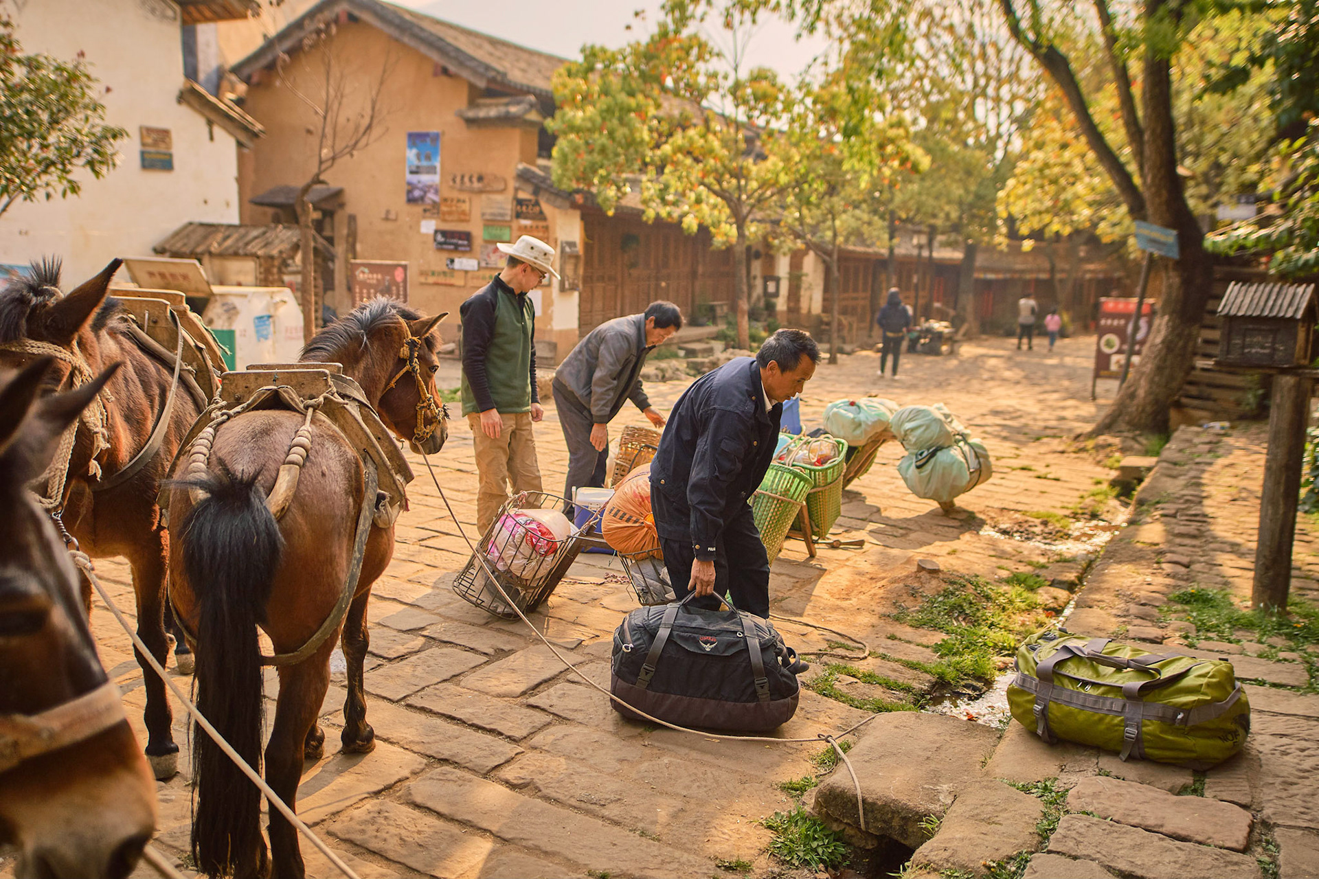 Traveling with mule caravana in Cangshan mountains
