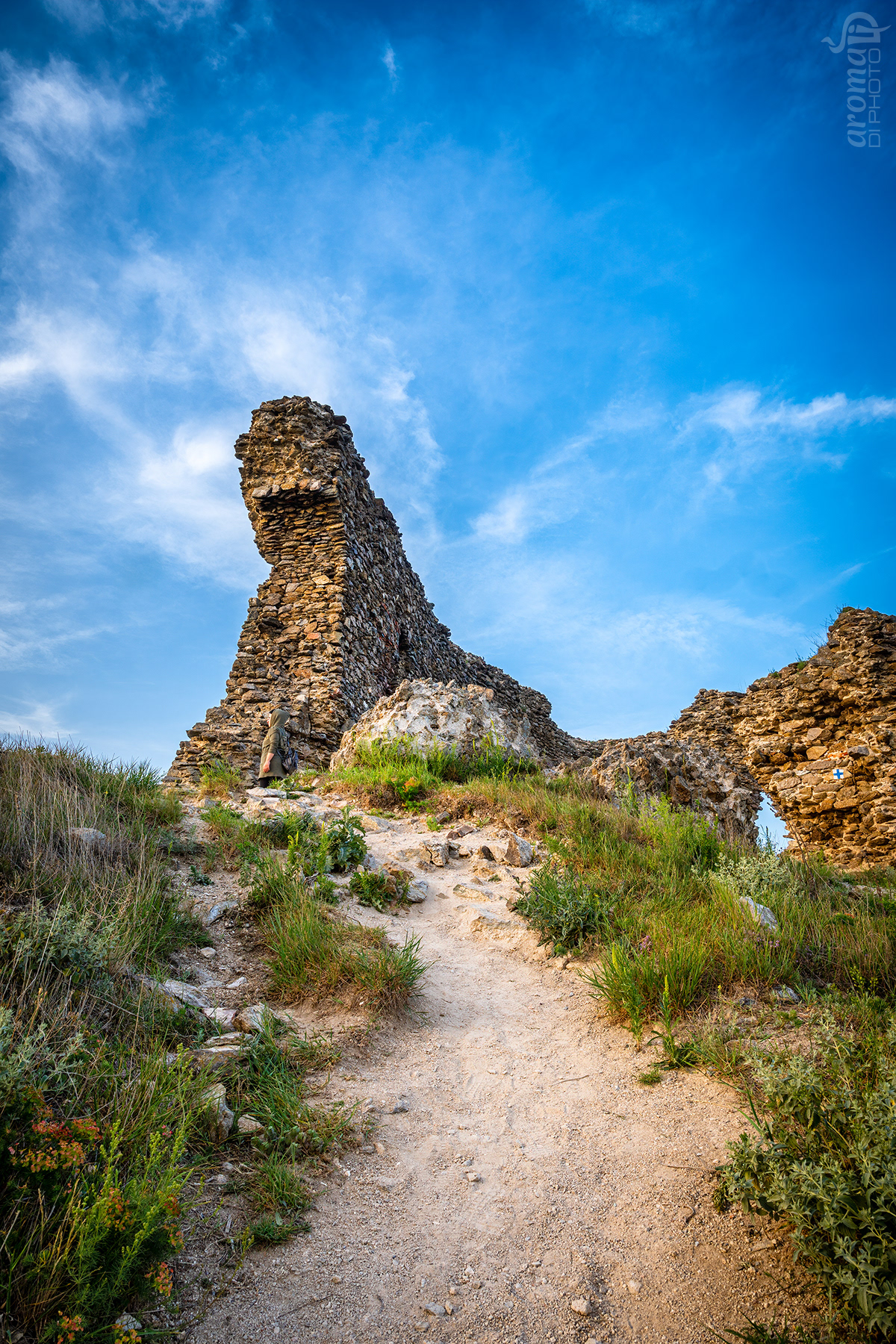 The Witness - Siria, Romania