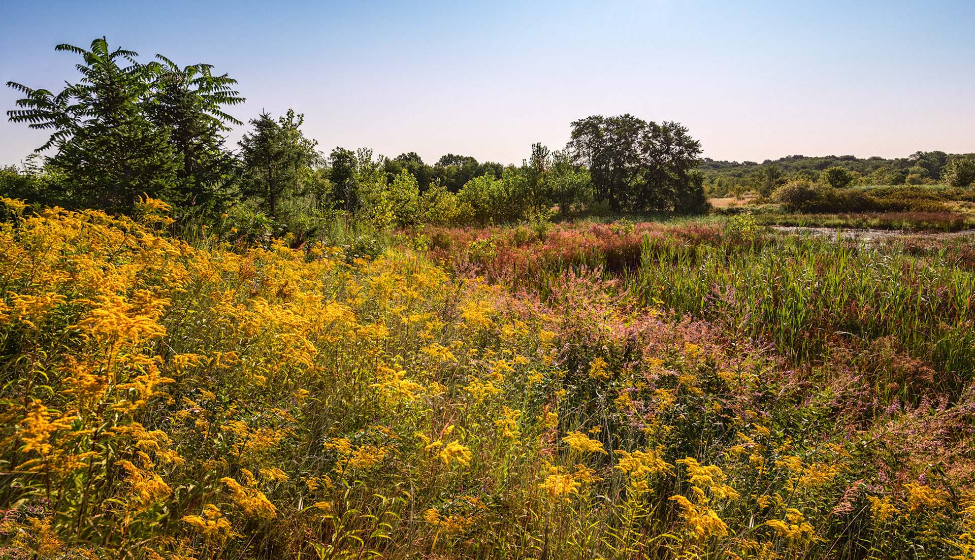 Mass State Parks DCR 104