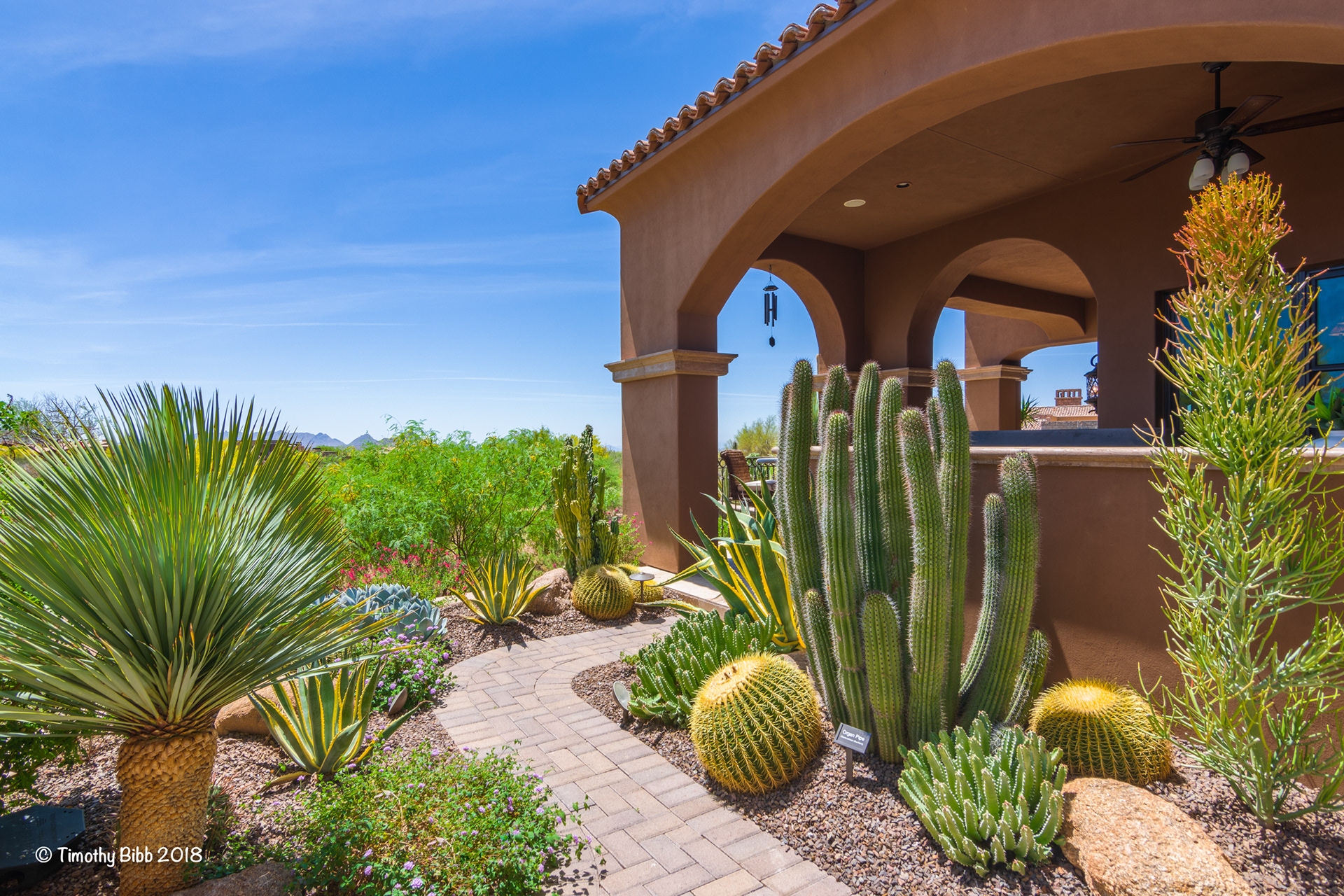 Tim Bibb Photography - Desert Foothills Landscape