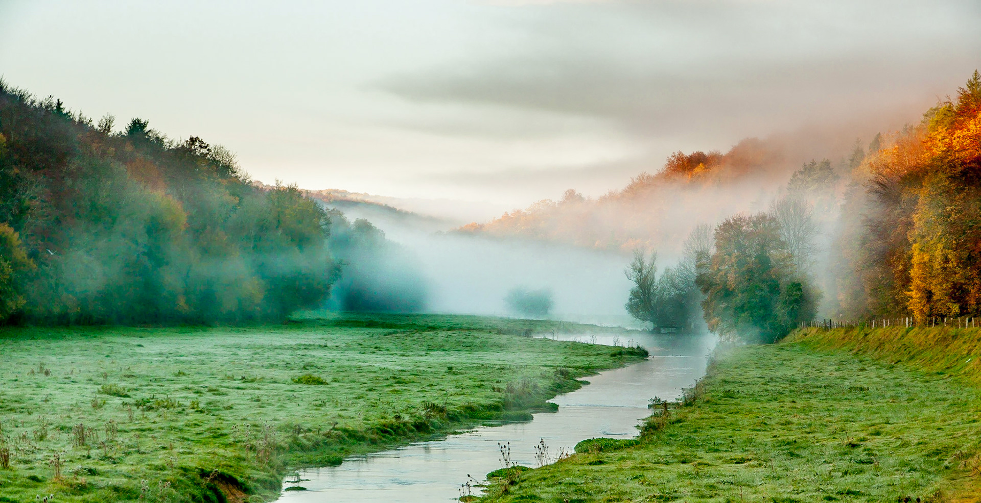 Contemplation d'automne