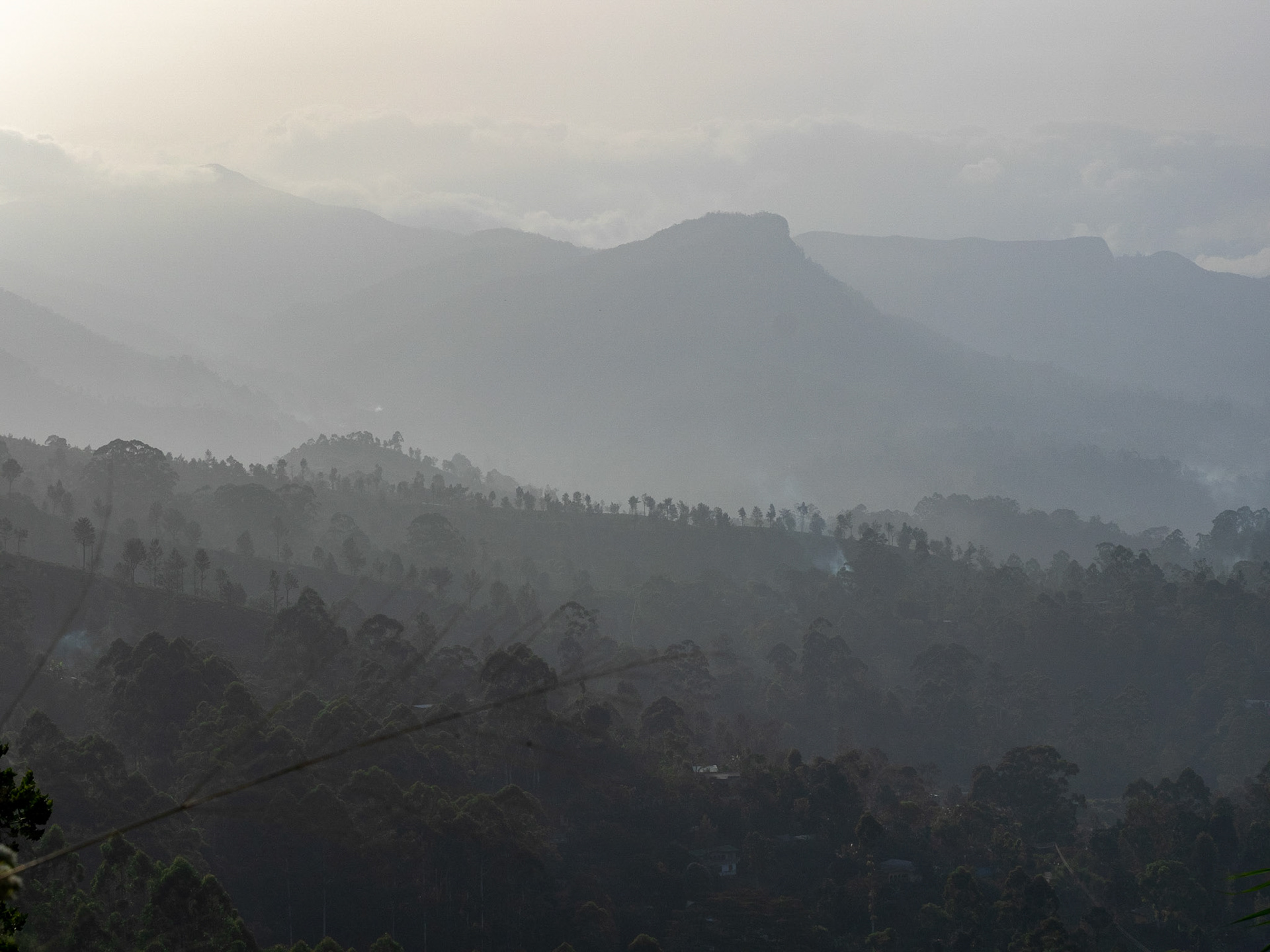 des montagnes