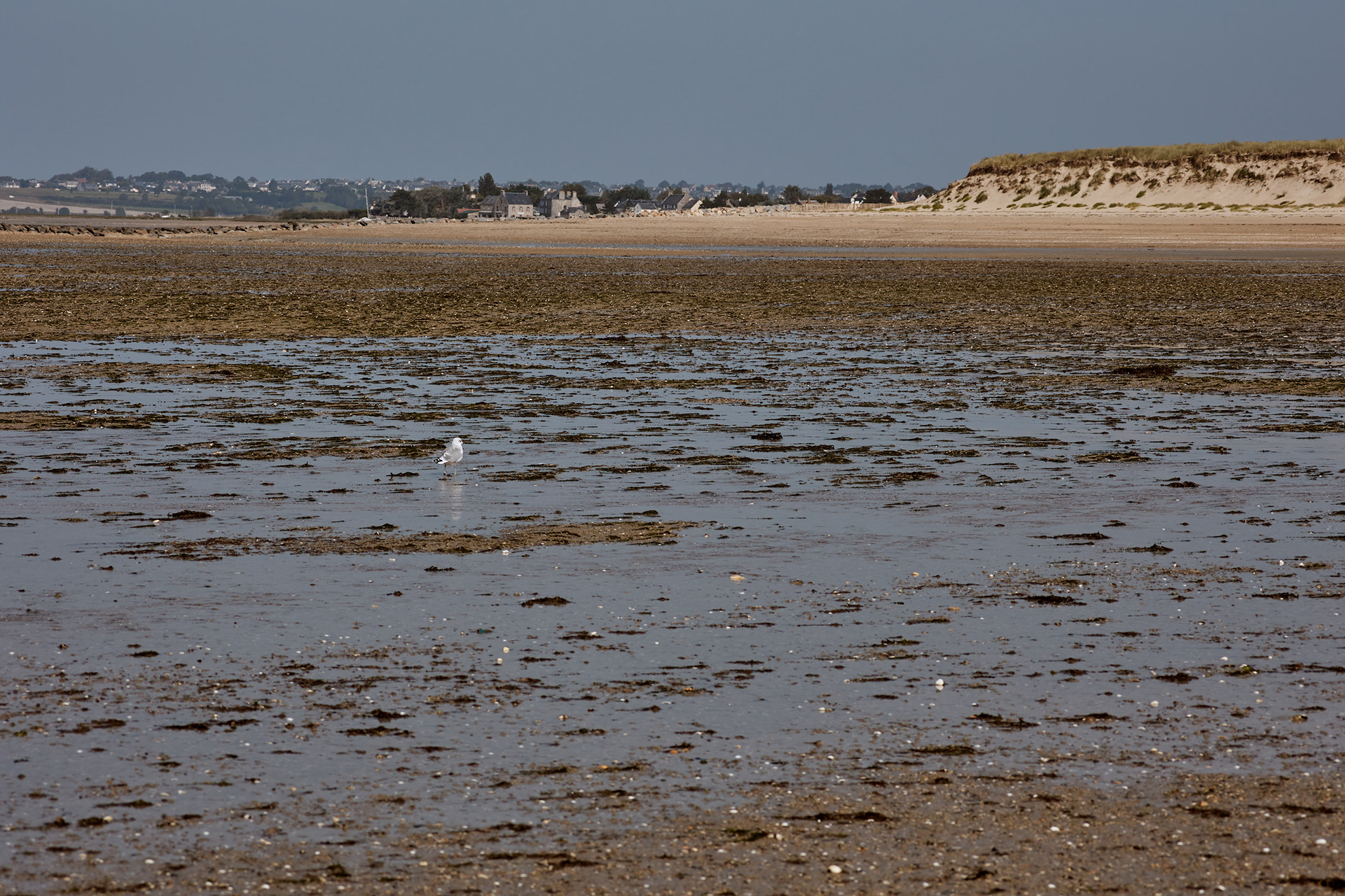 Montmartin-sur-Mer