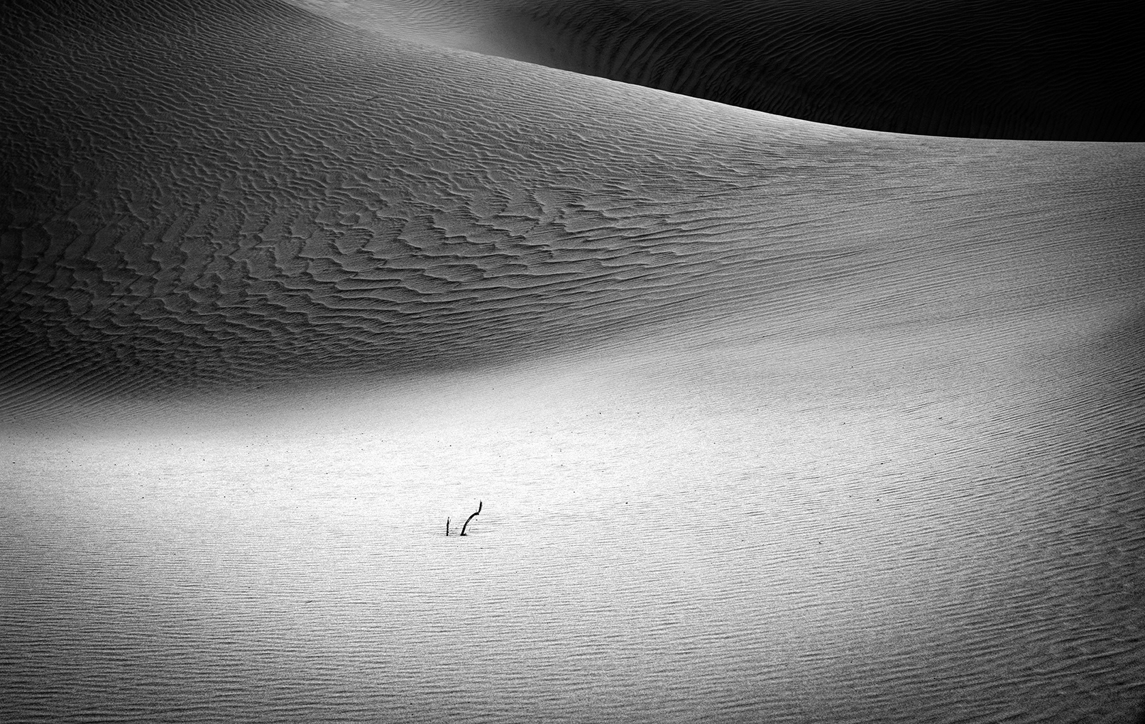 Alone