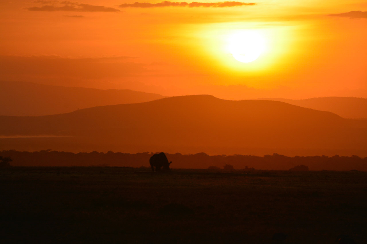 Kenya Sunset