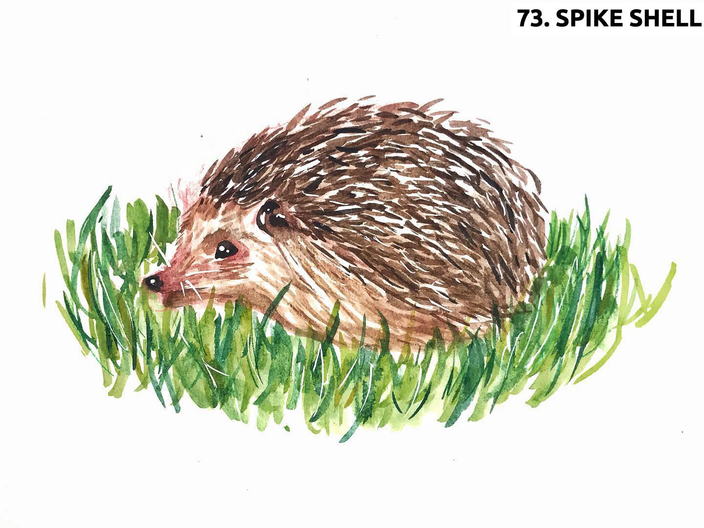 Spike Shell