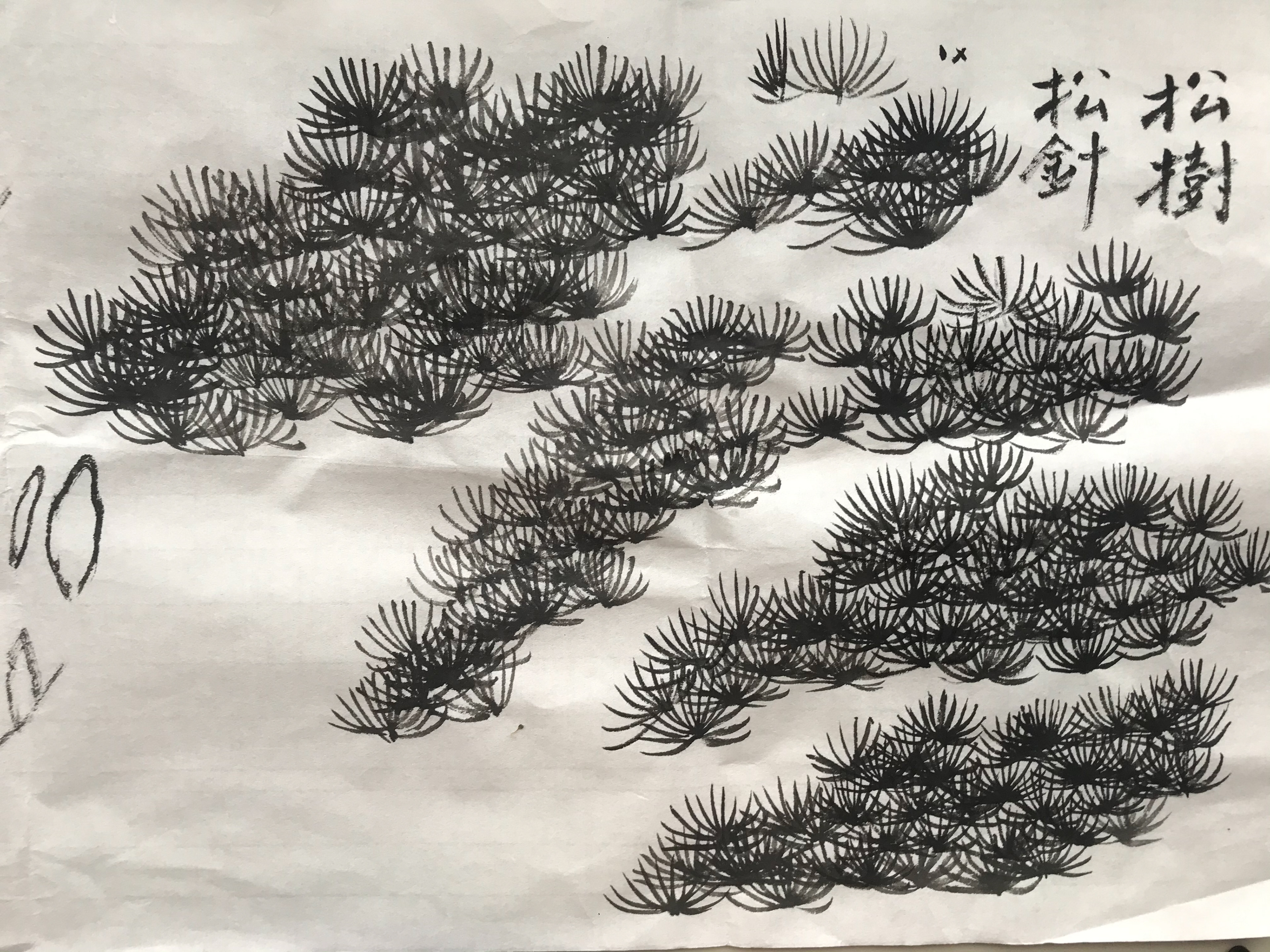 Spiky leaves