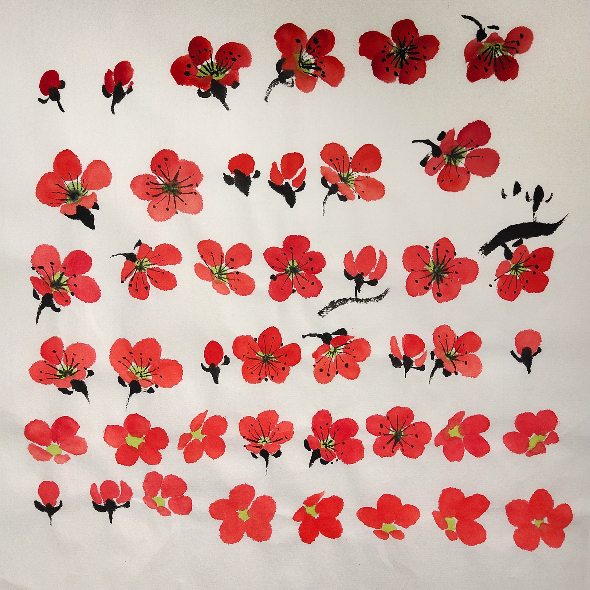 Flower Practise