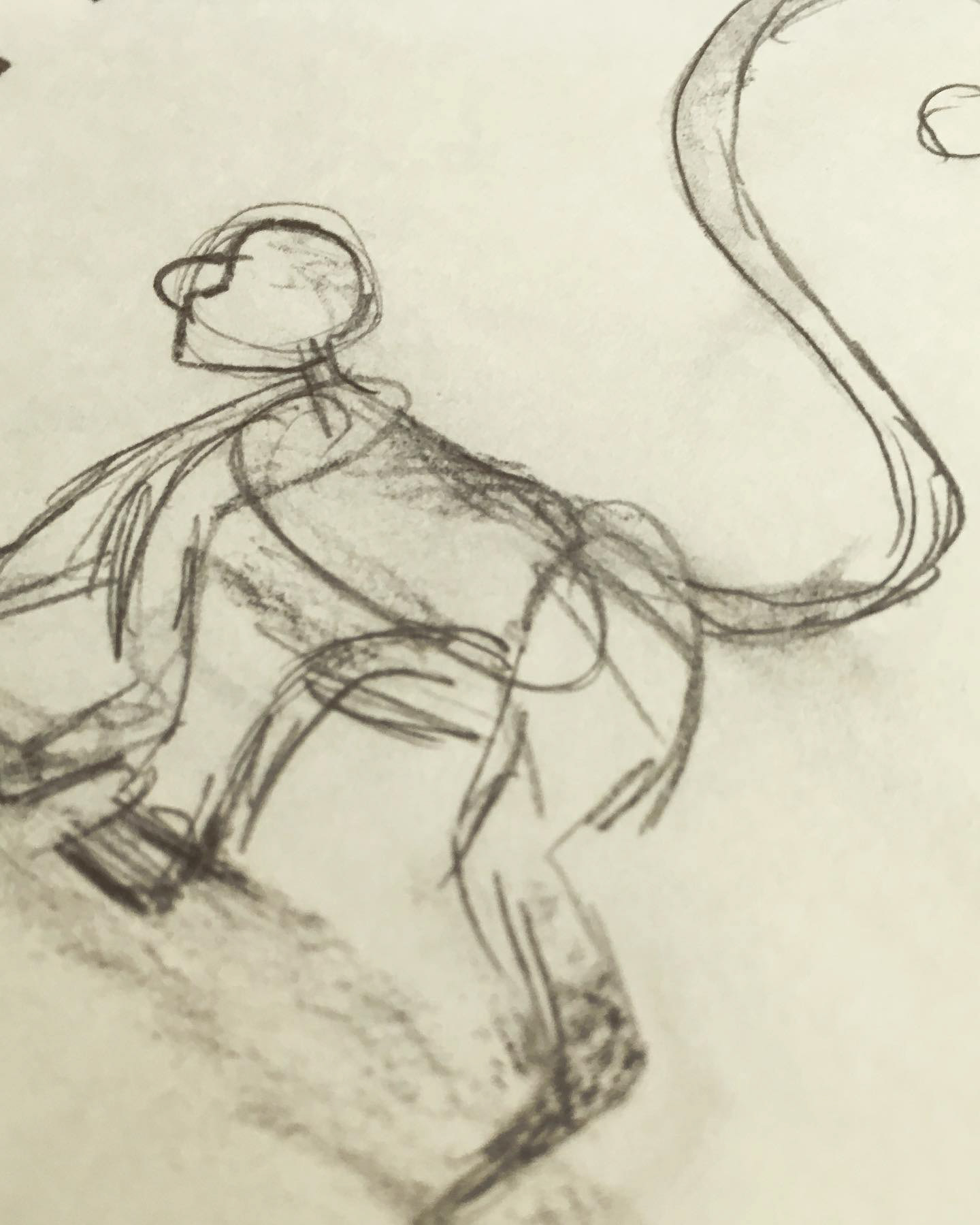 Monkey