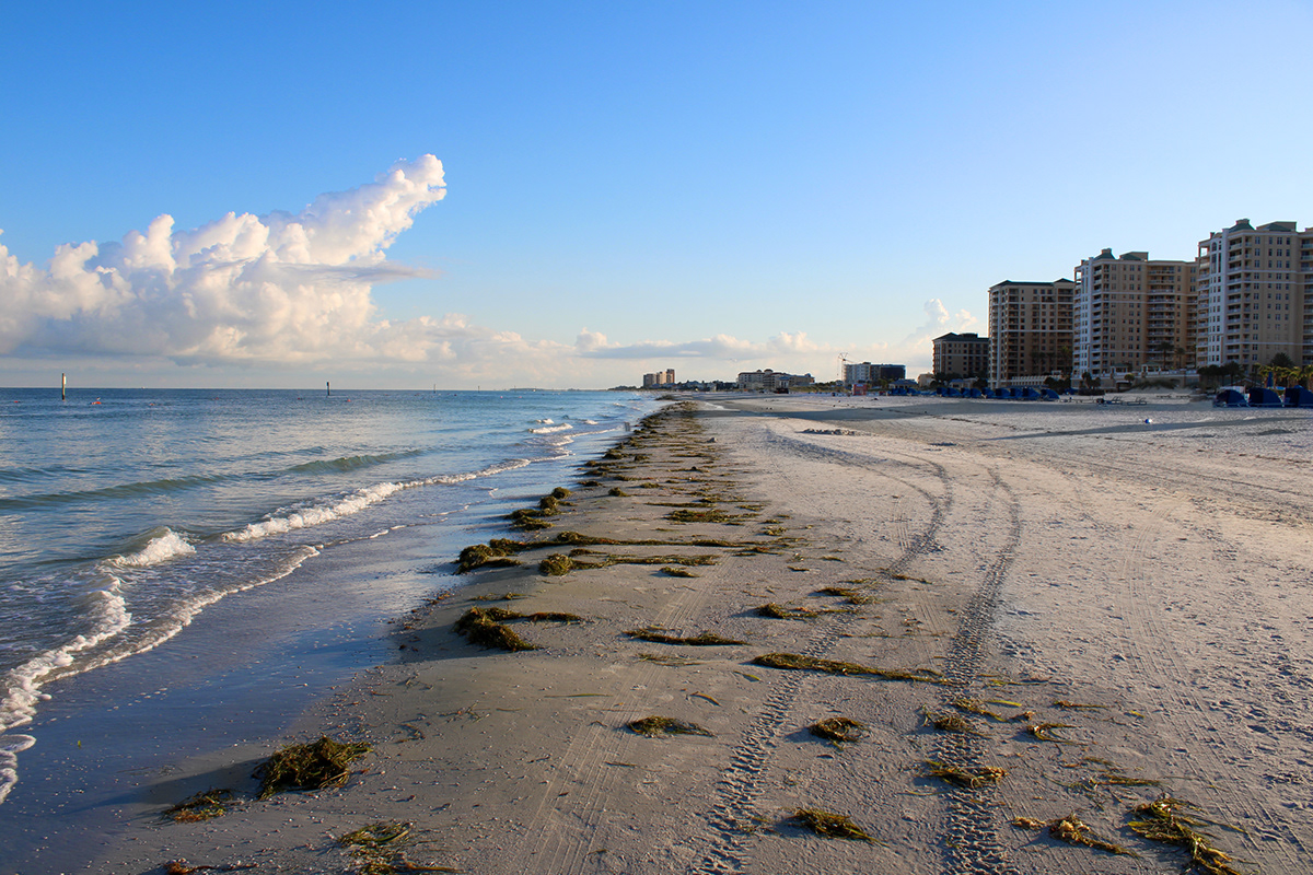 Courtney Casto Clearwater & Indian Rocks Beach