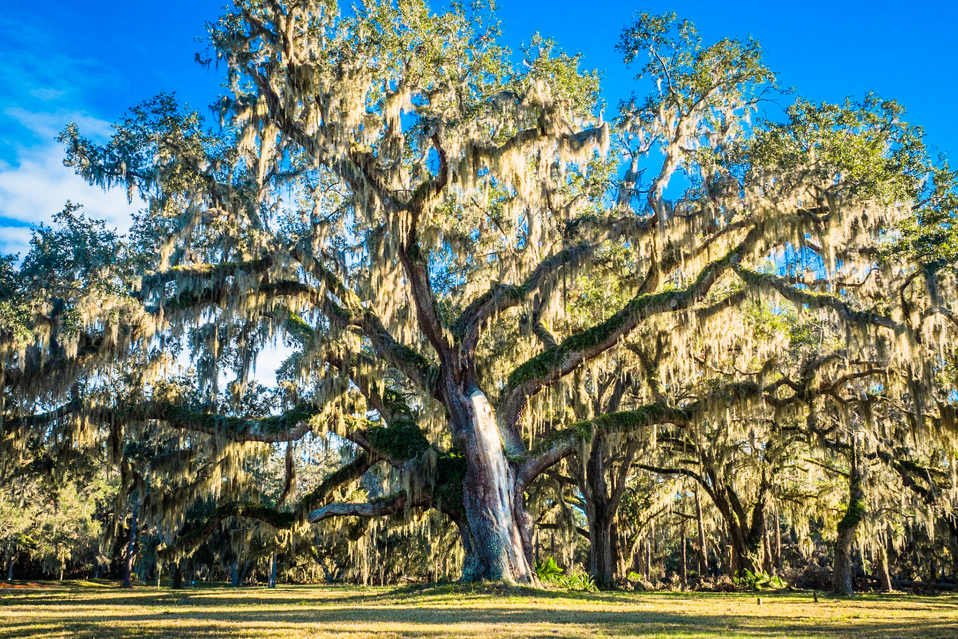 Fort Frederica National Monument