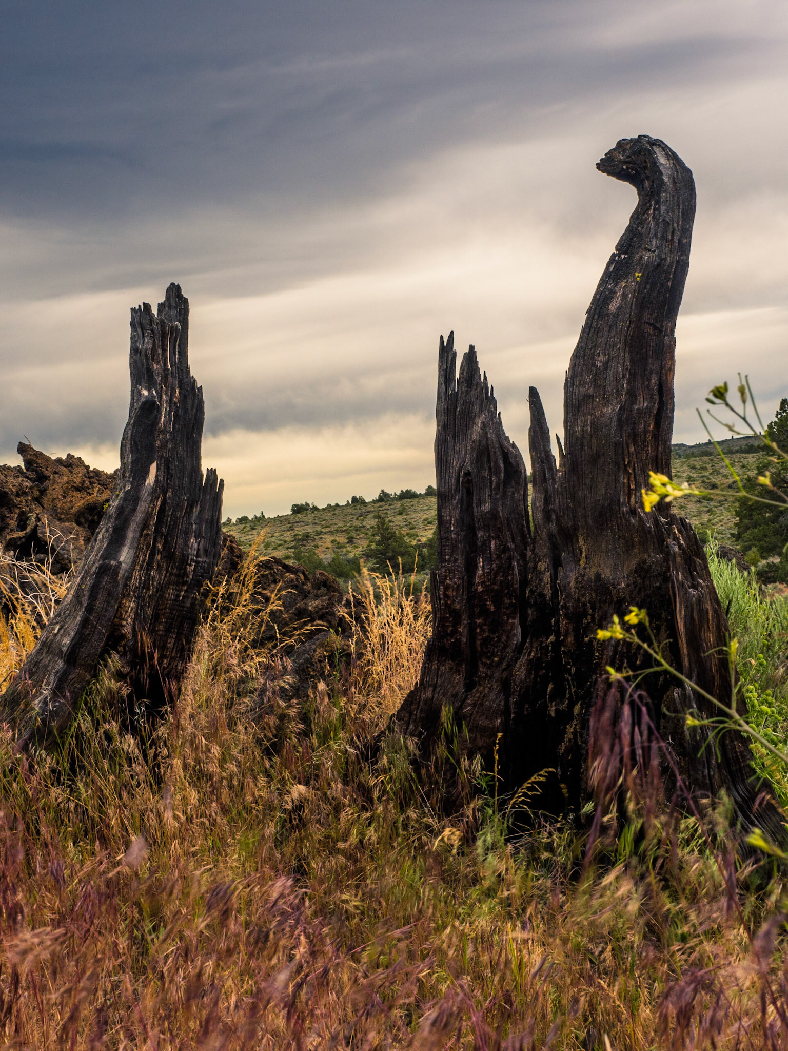 Mesa Verde National Park
