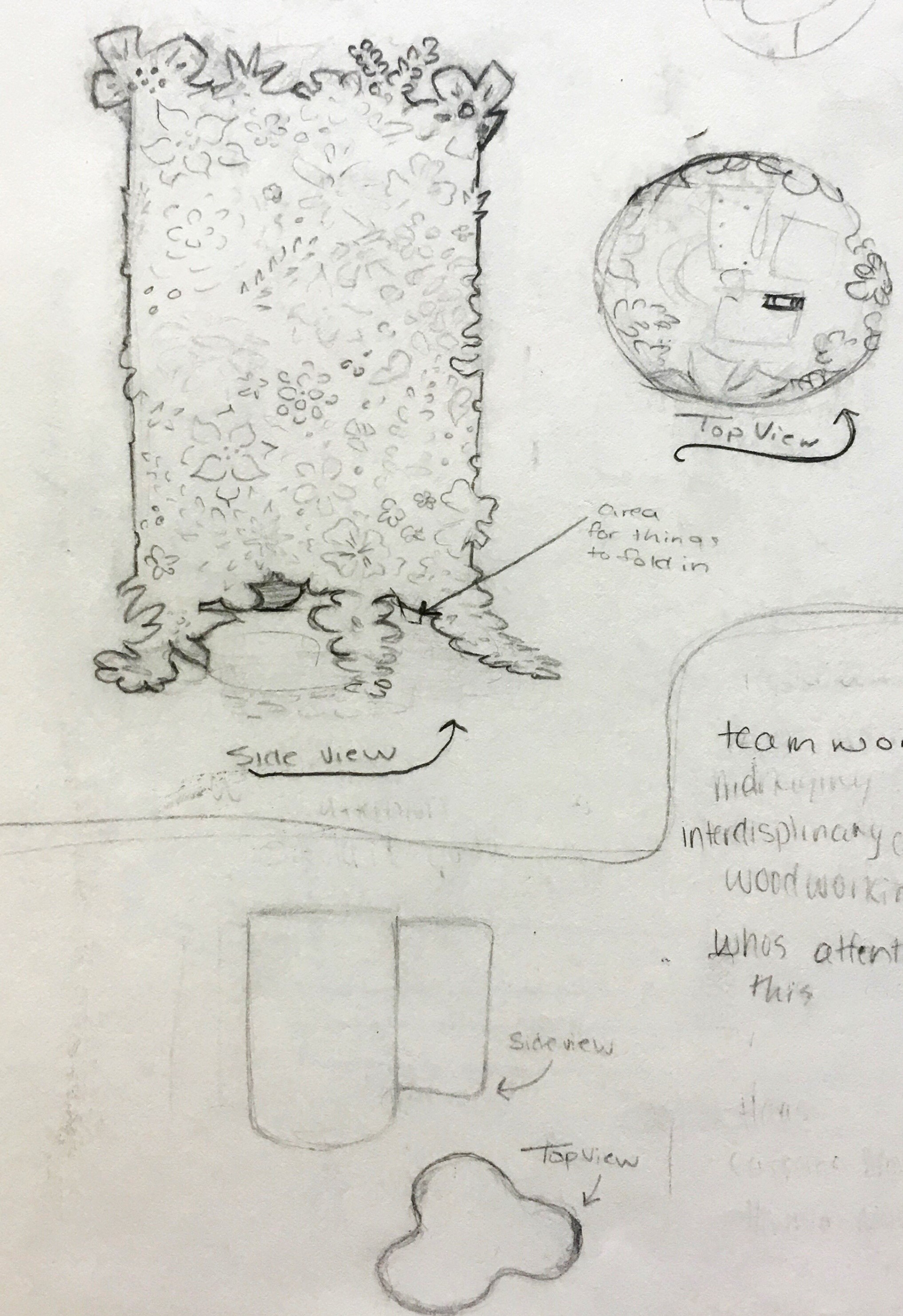 Initial Concept