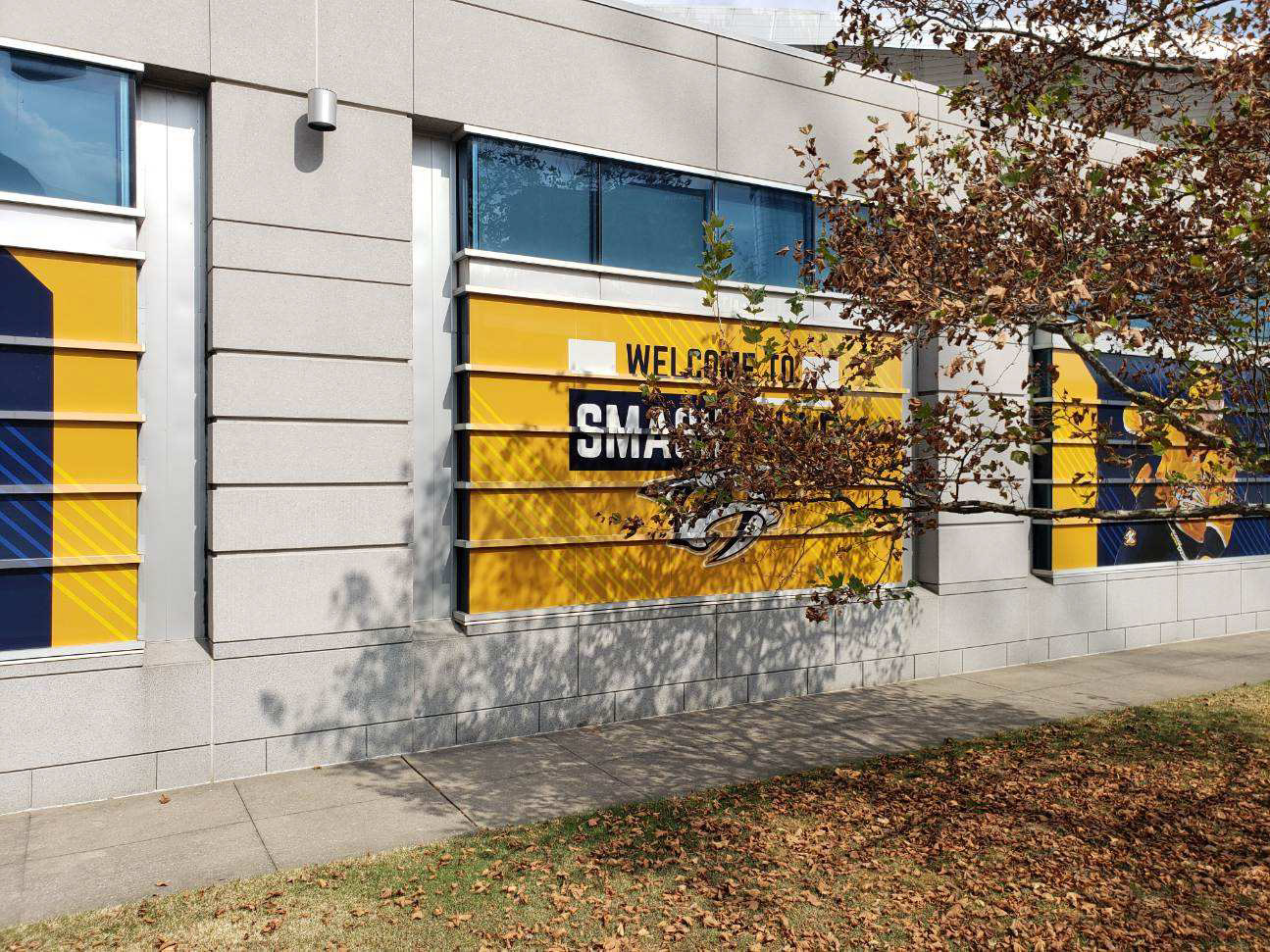 Preds Window Graphics