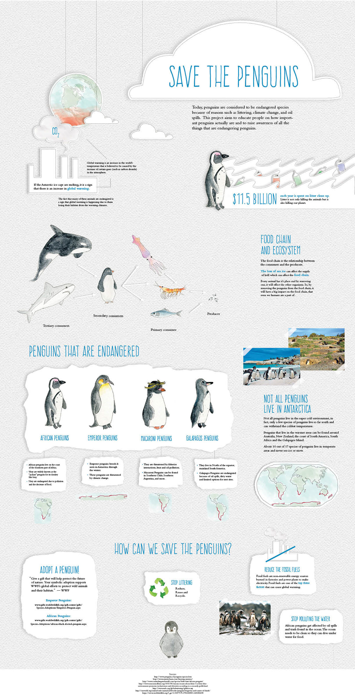 jihye kim - Save The Penguins Infographic