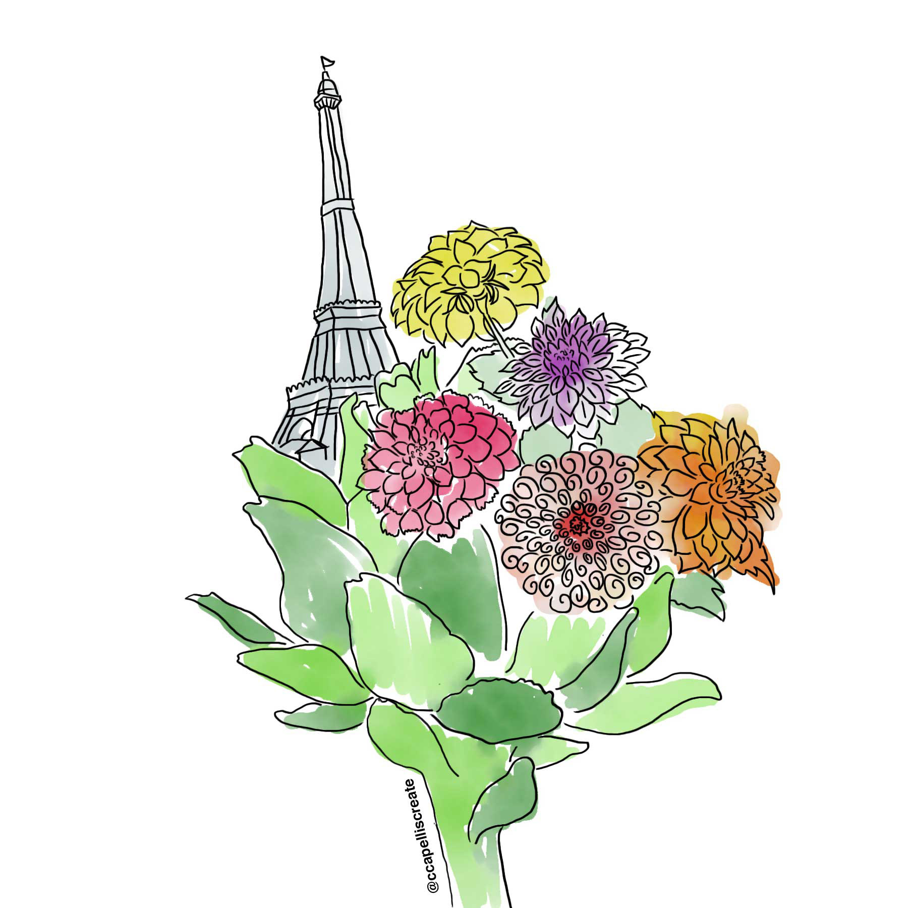 October 1 - Paris, Artichoke, Dahlias