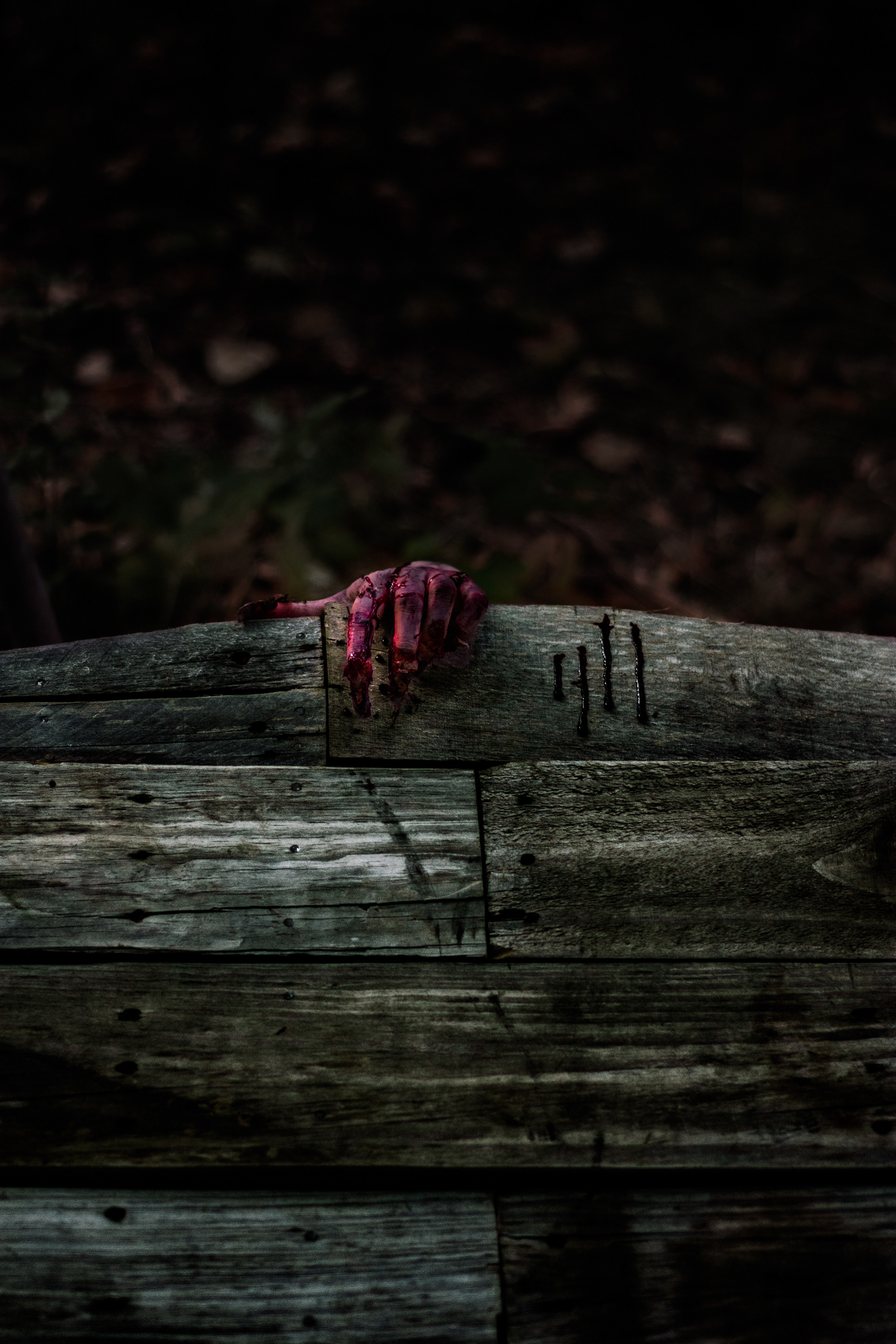 HMUA: Vampire Nomad Palette - Model: Meagan Sara - Set Decorator Gillian Was