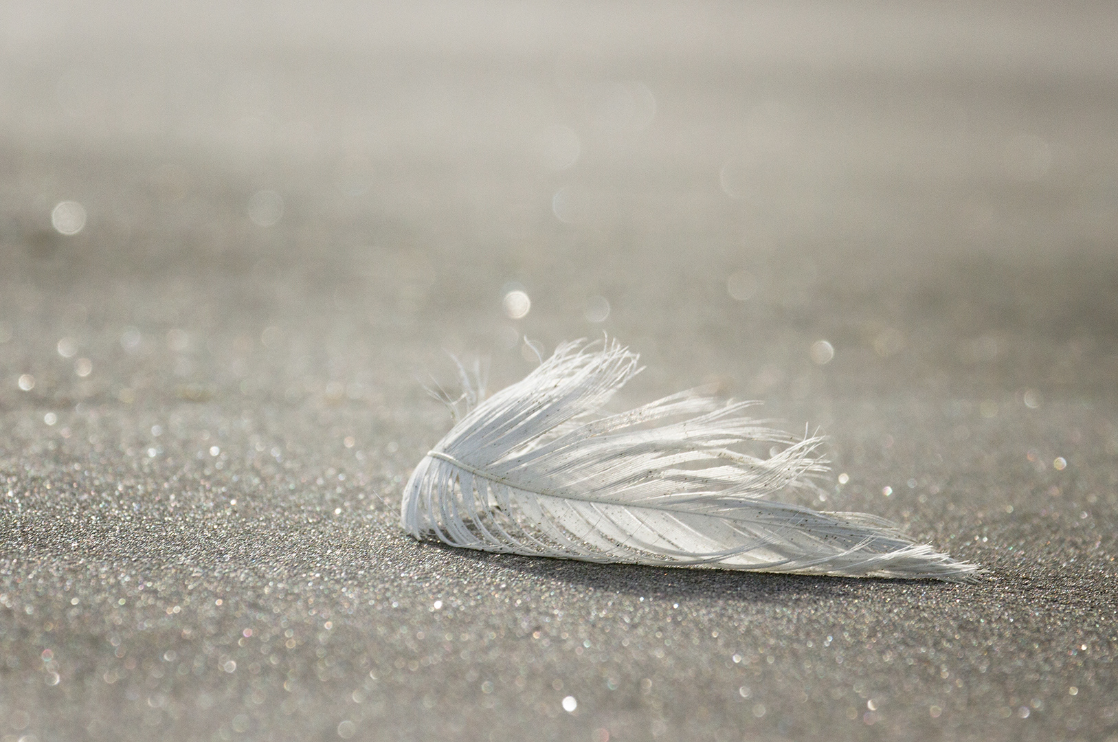 Light as a feather ii