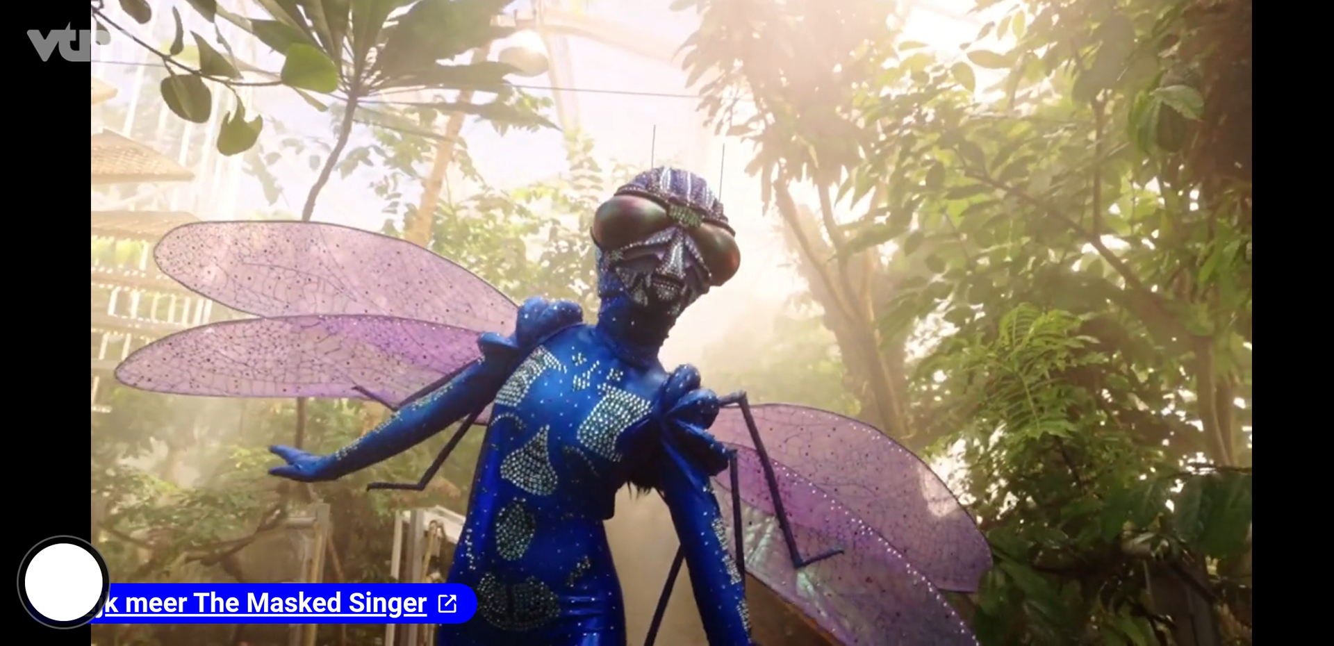 © VTM The Masked Singer - VTM