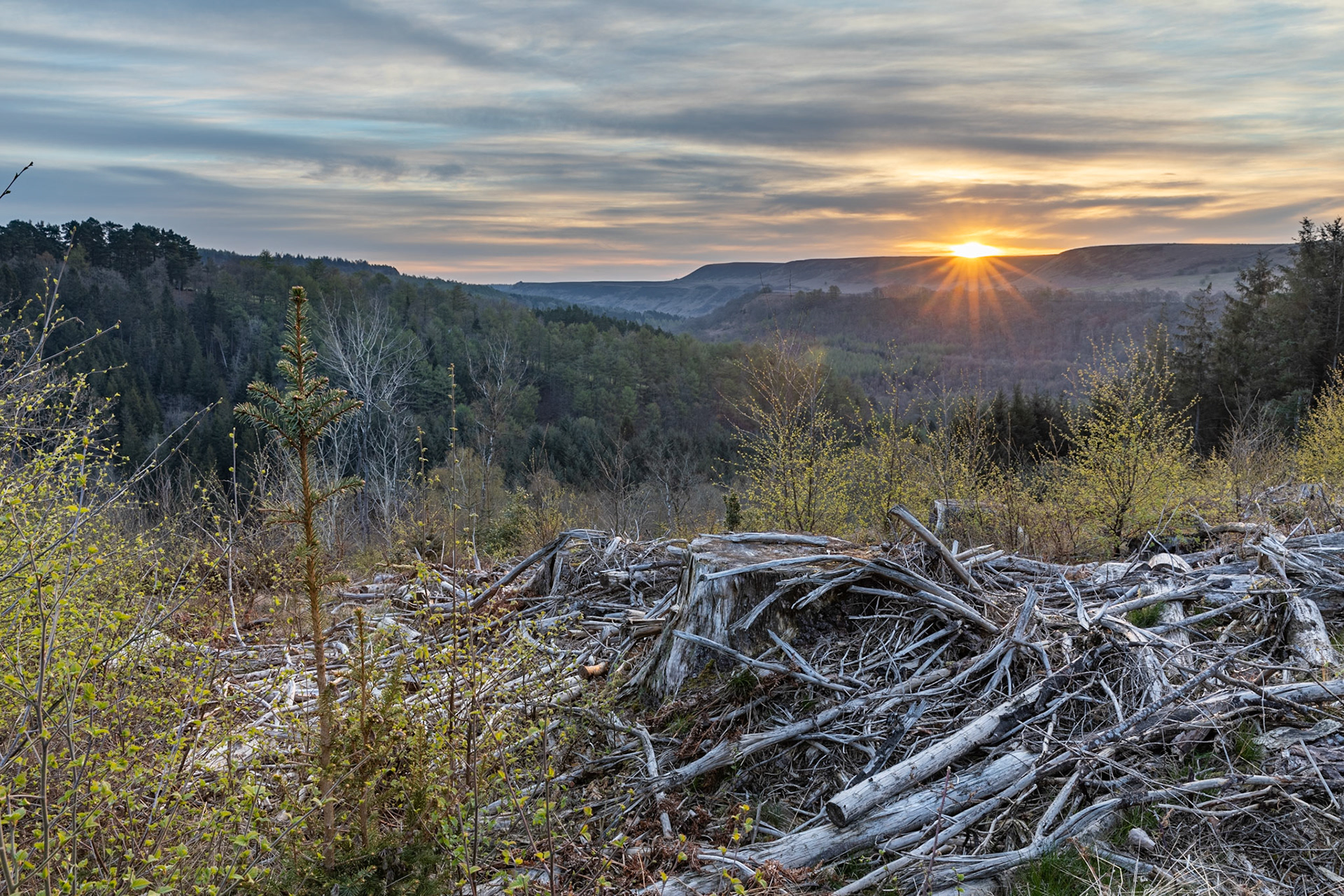 Sunrise above Levisham Moor