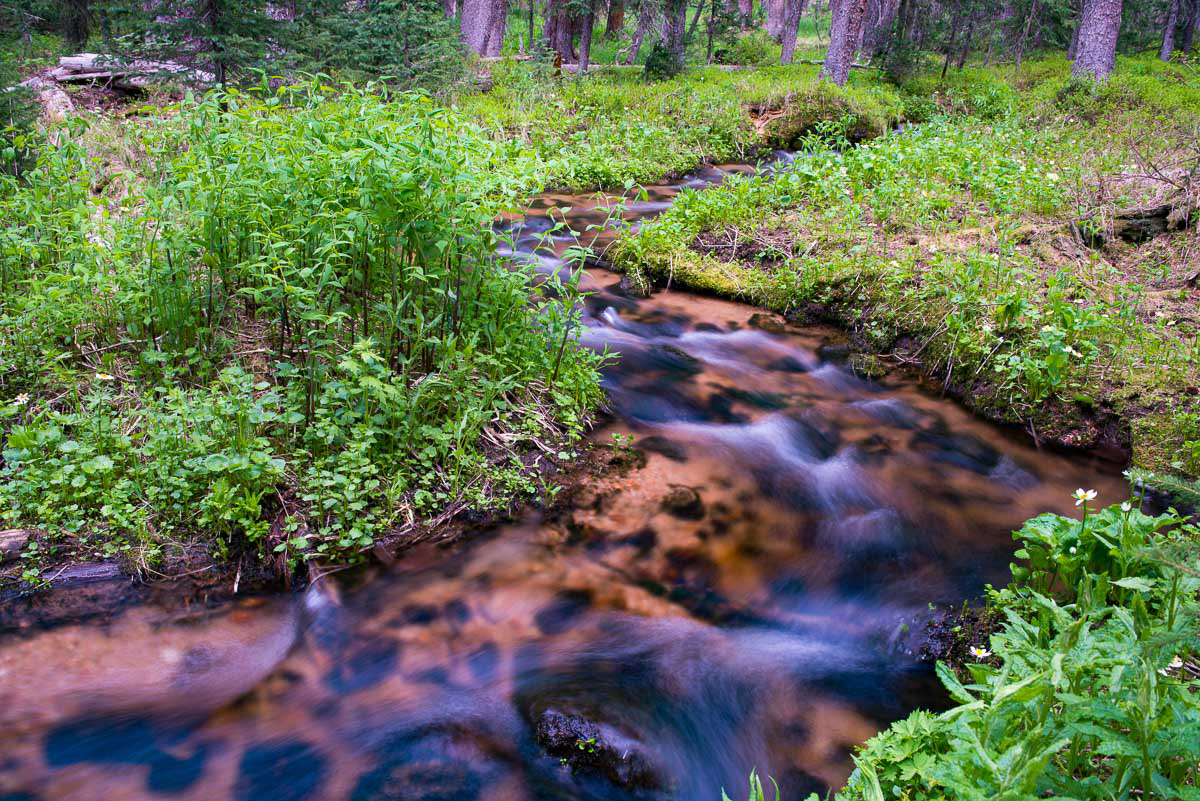 Vail, Colorado Flowing Stream