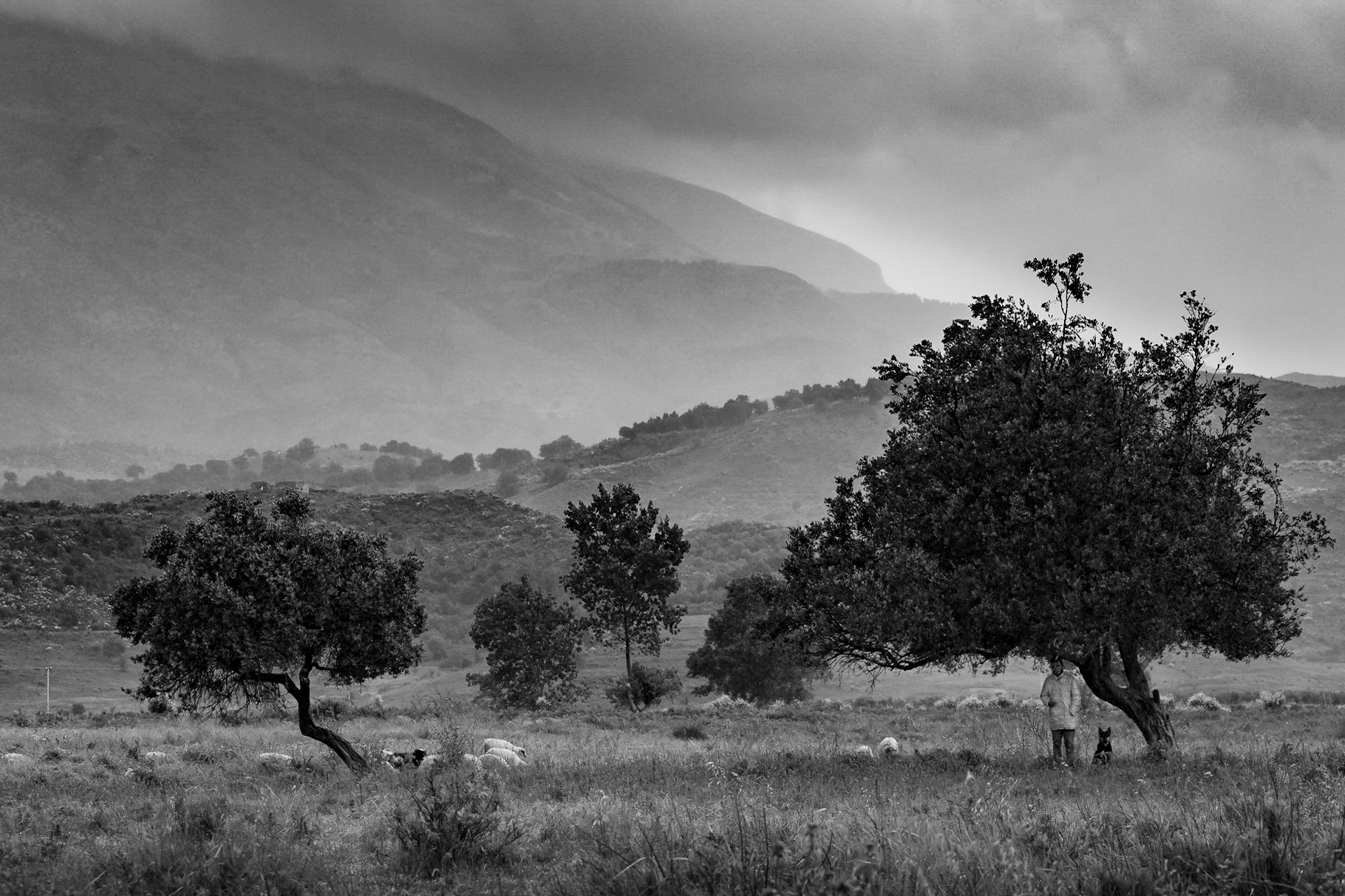 Albania